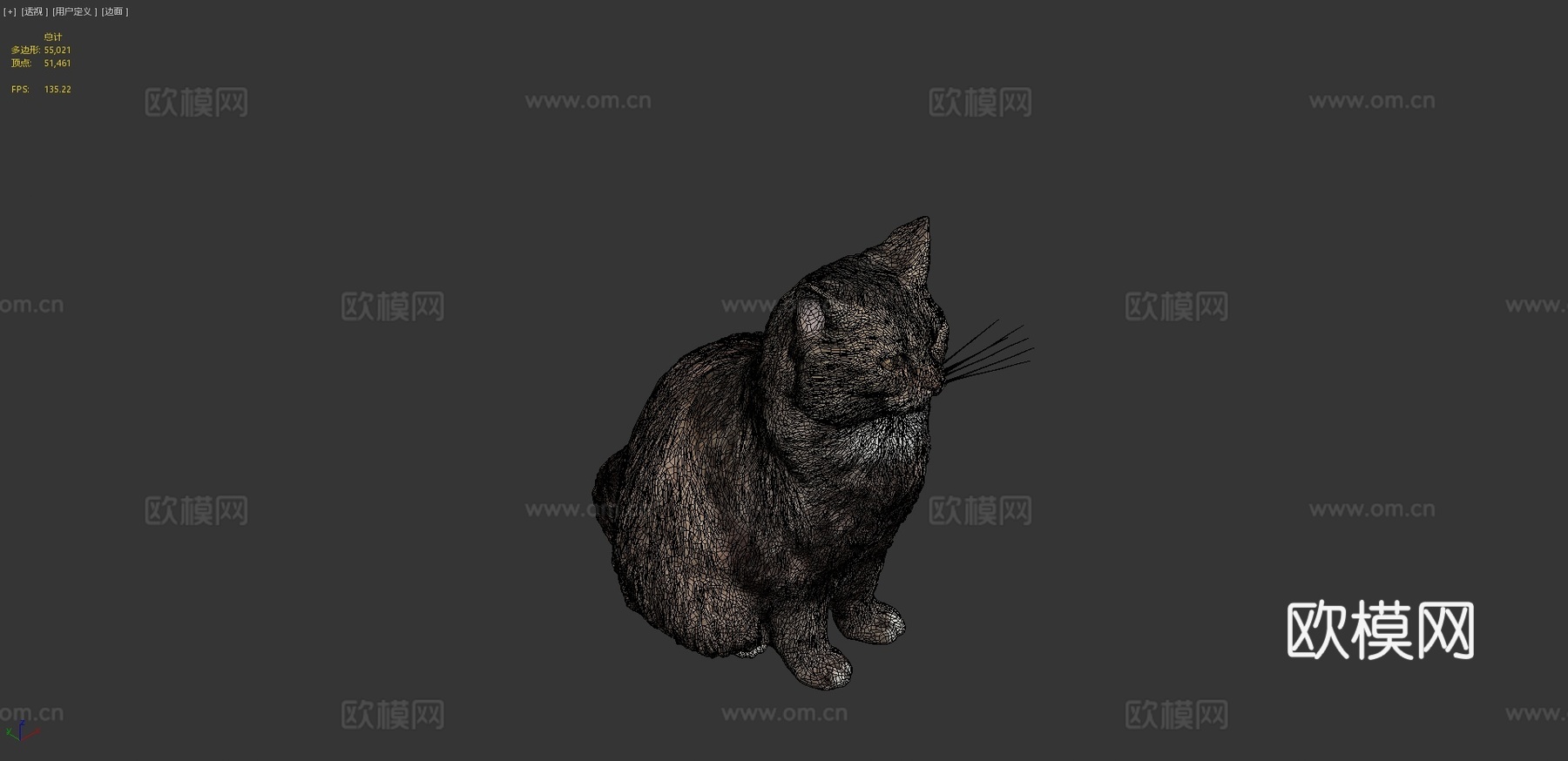 蓬松猫153d模型