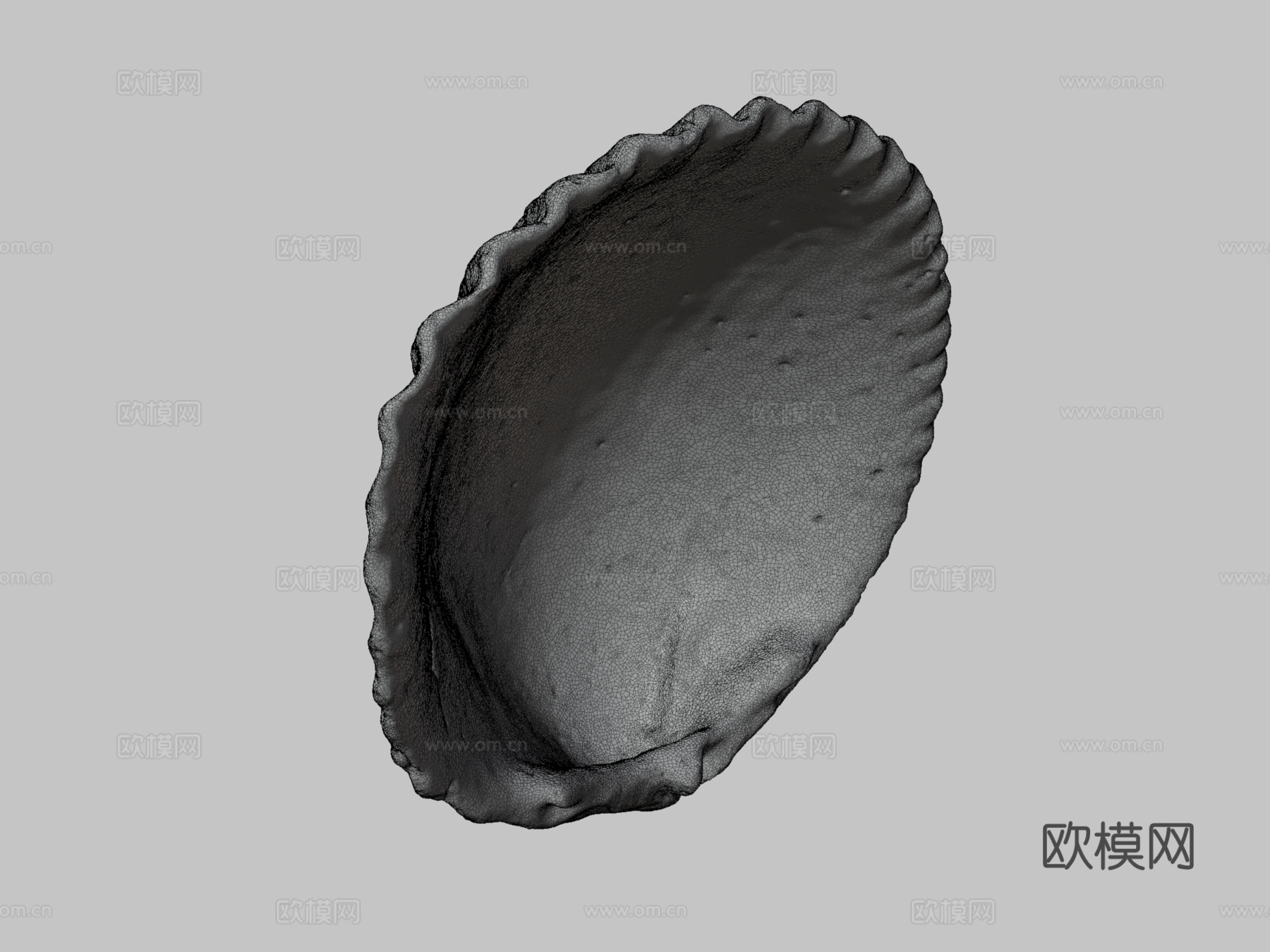 贝壳纪念品3d模型