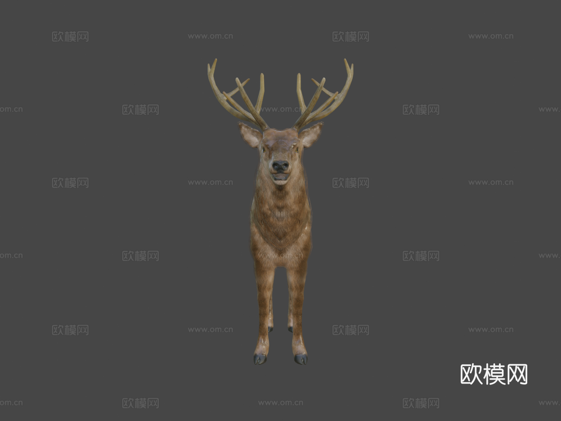 雄鹿动画3d模型