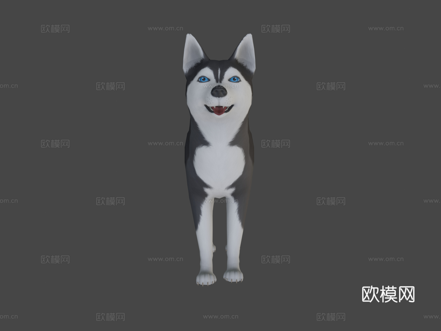 哈士奇犬3d模型