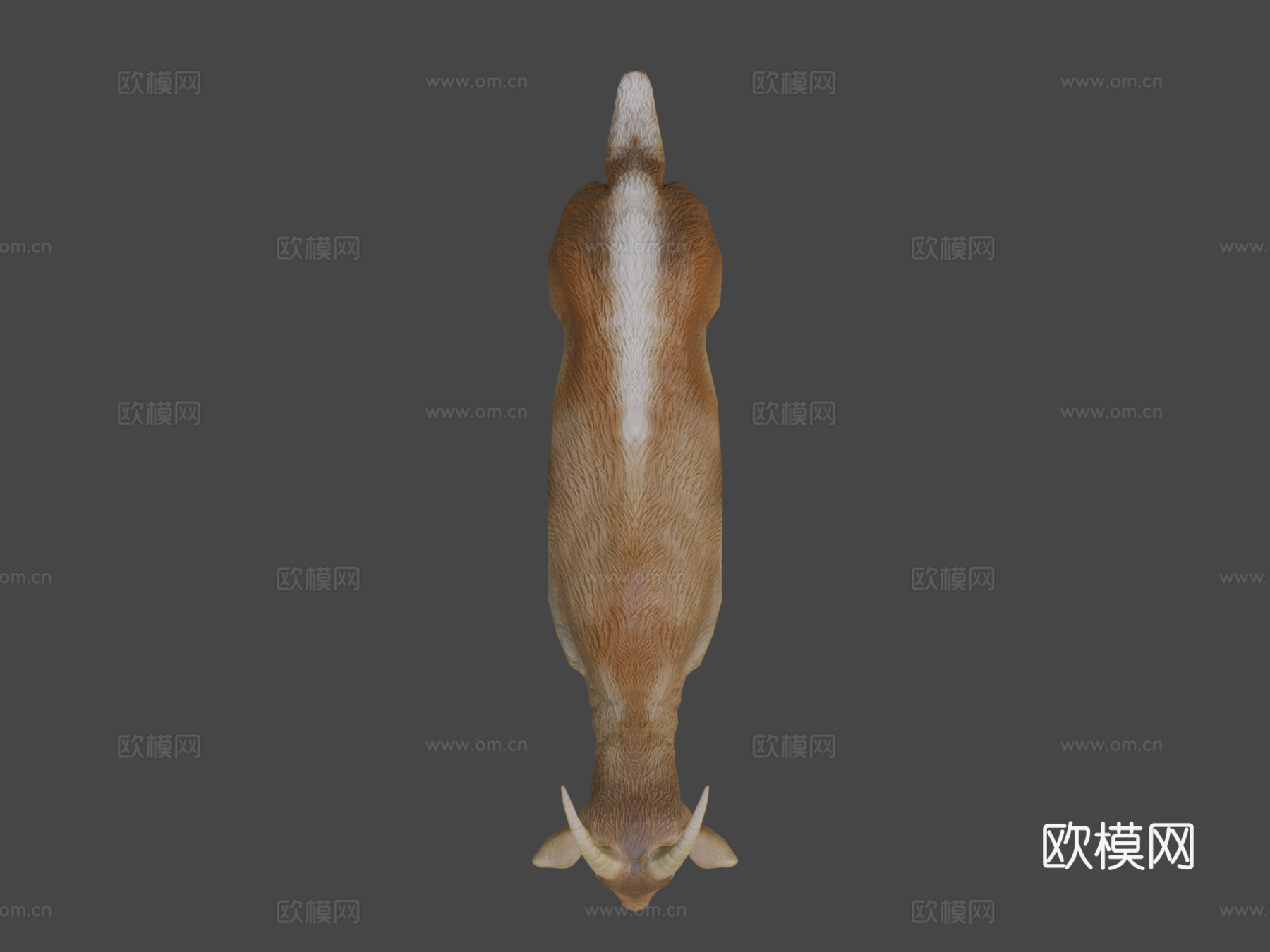 山羊动画3d模型