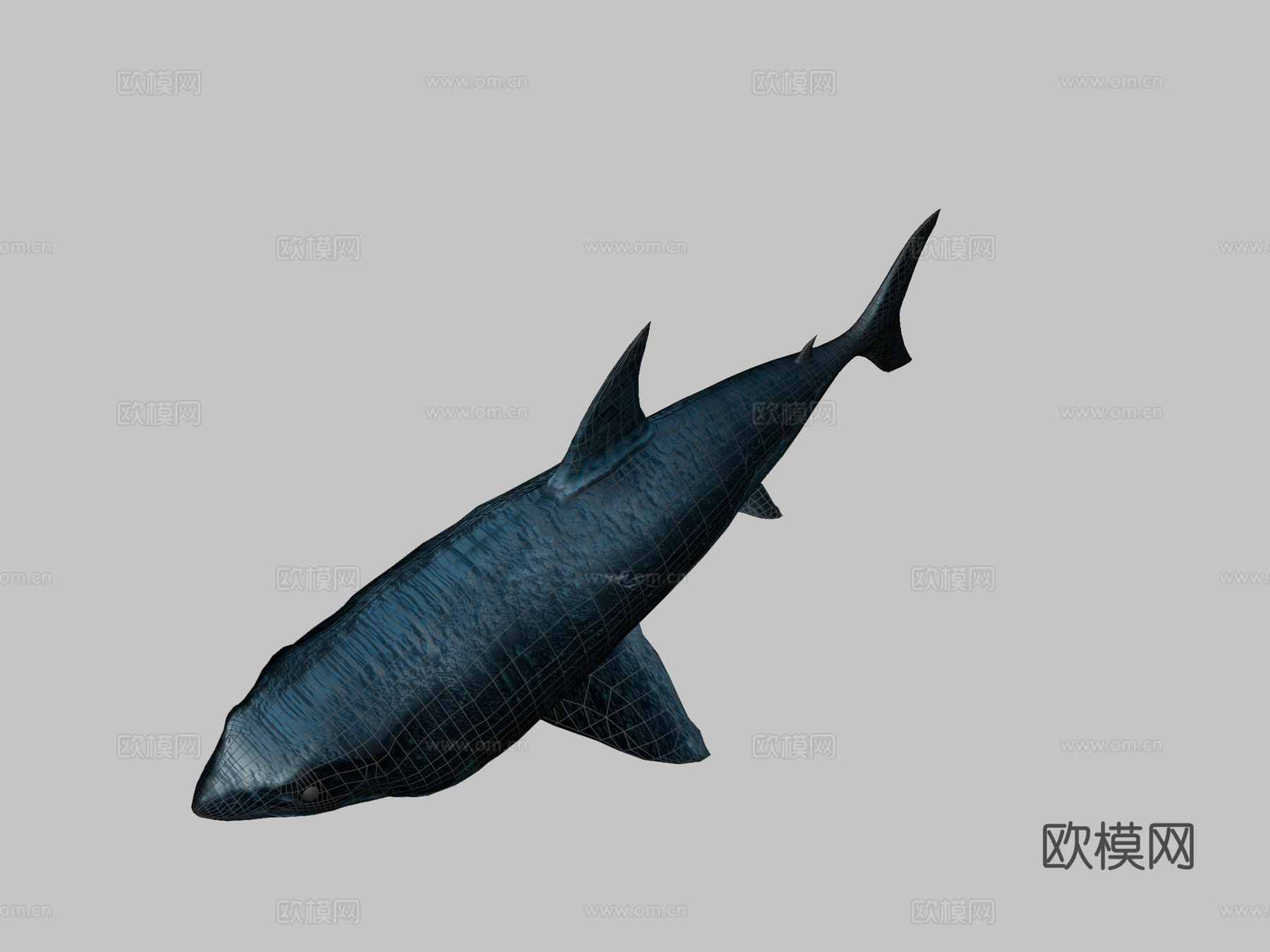 鲨鱼3d模型