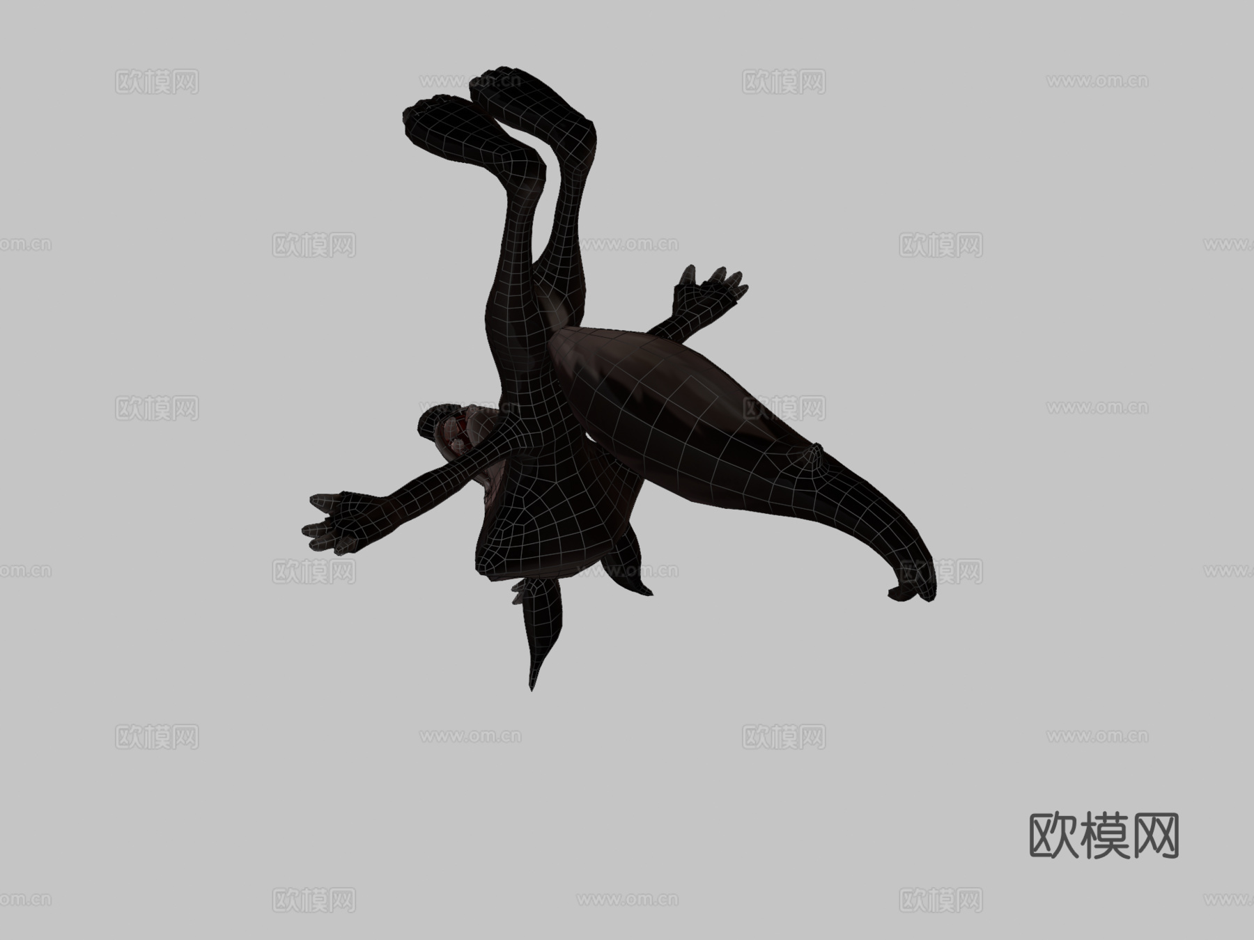 郊狼3d模型