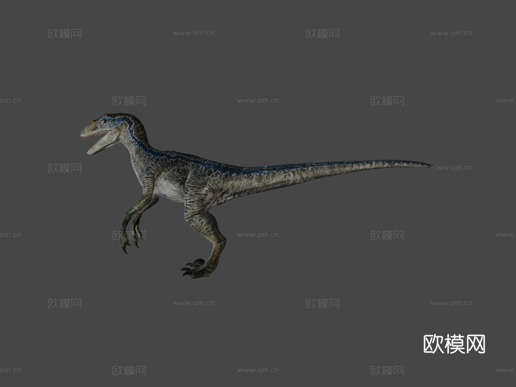 迅猛龙蓝色3d模型