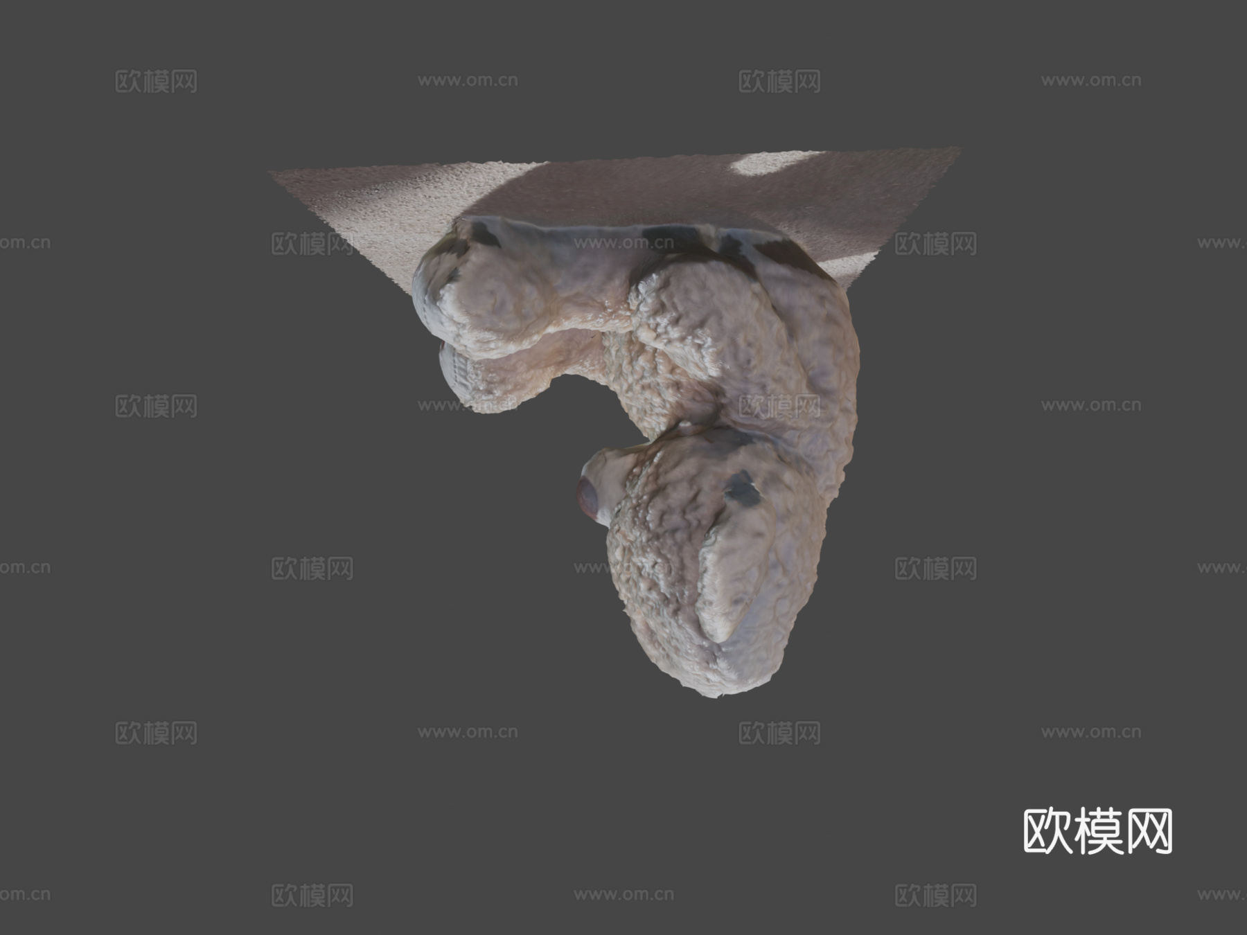 泰迪熊(3D扫描)3d模型