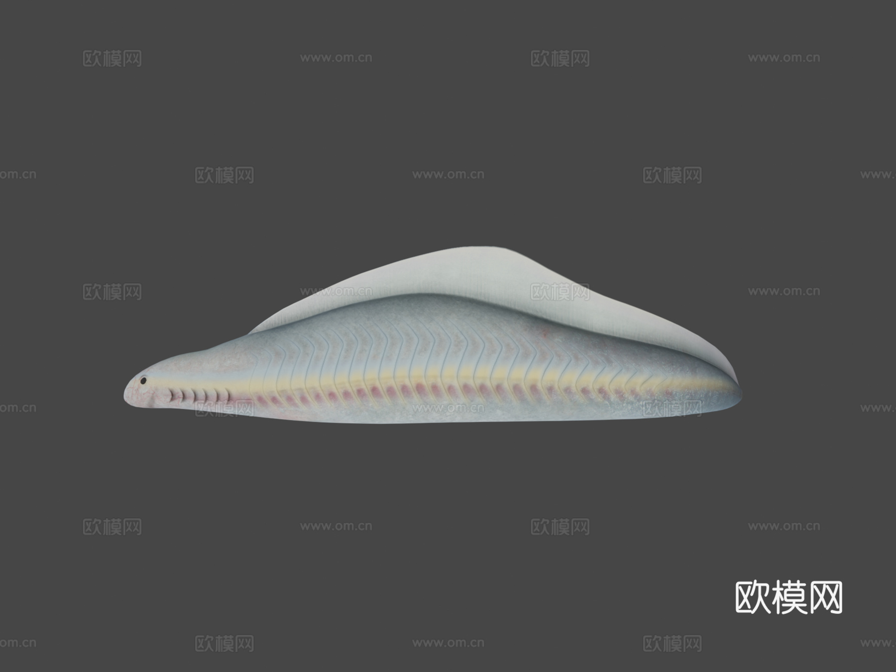 丰娇昆明鱼3d模型