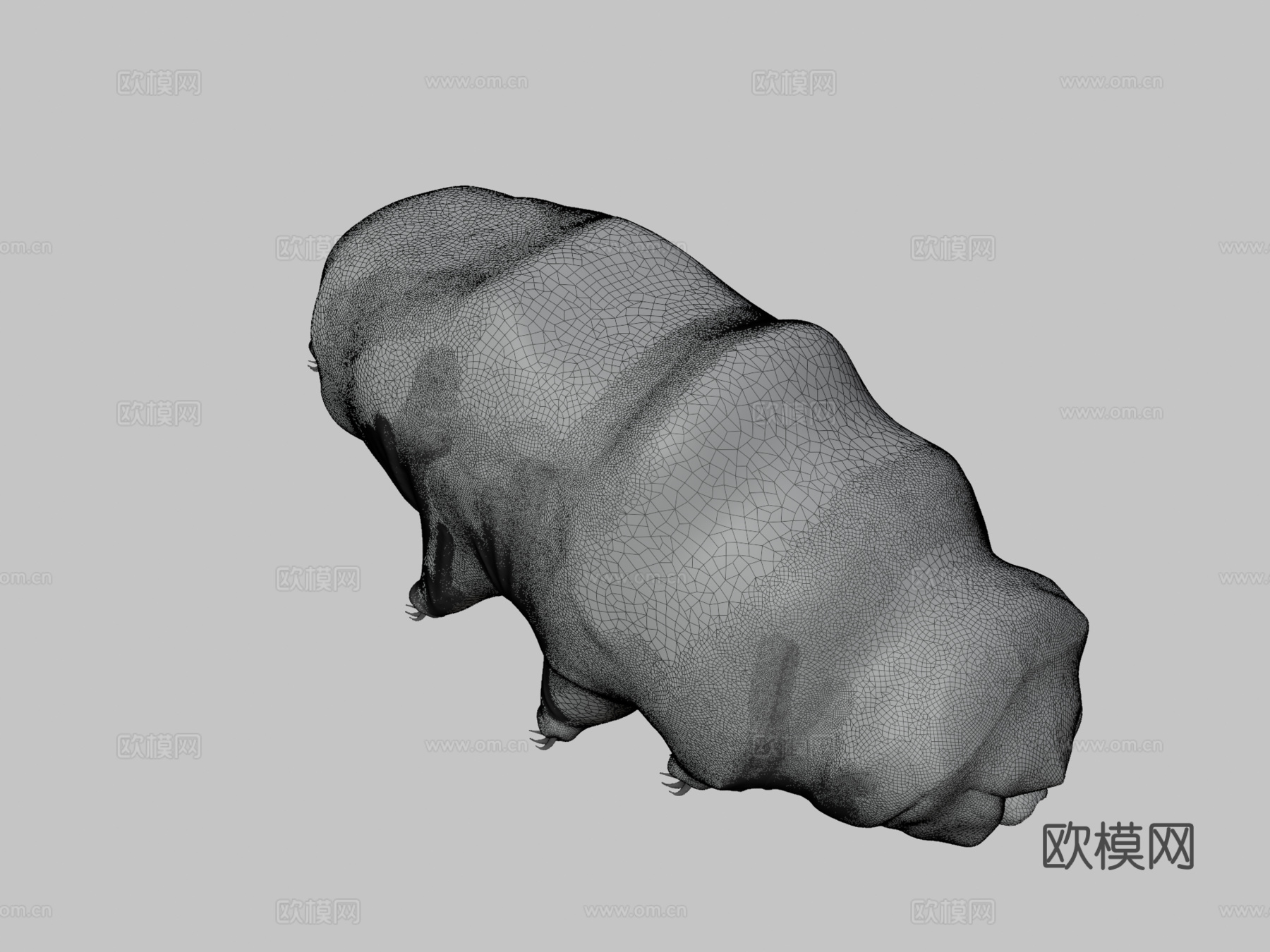 水熊虫3d模型