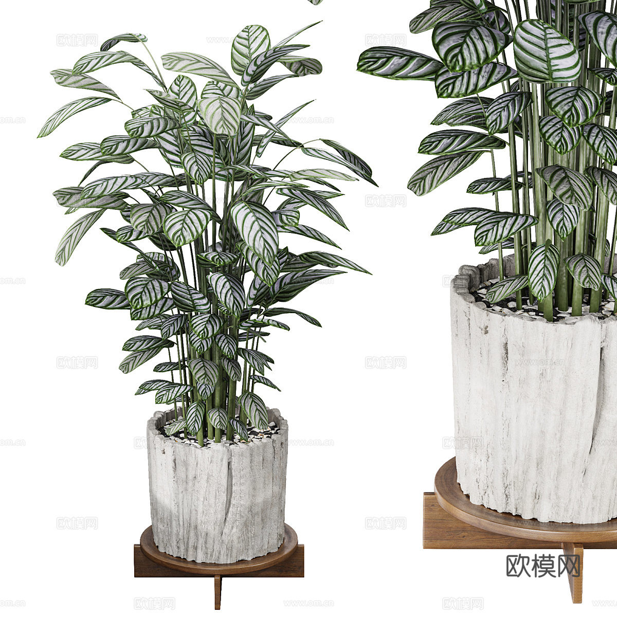 现代北欧绿植盆景 盆栽3d模型