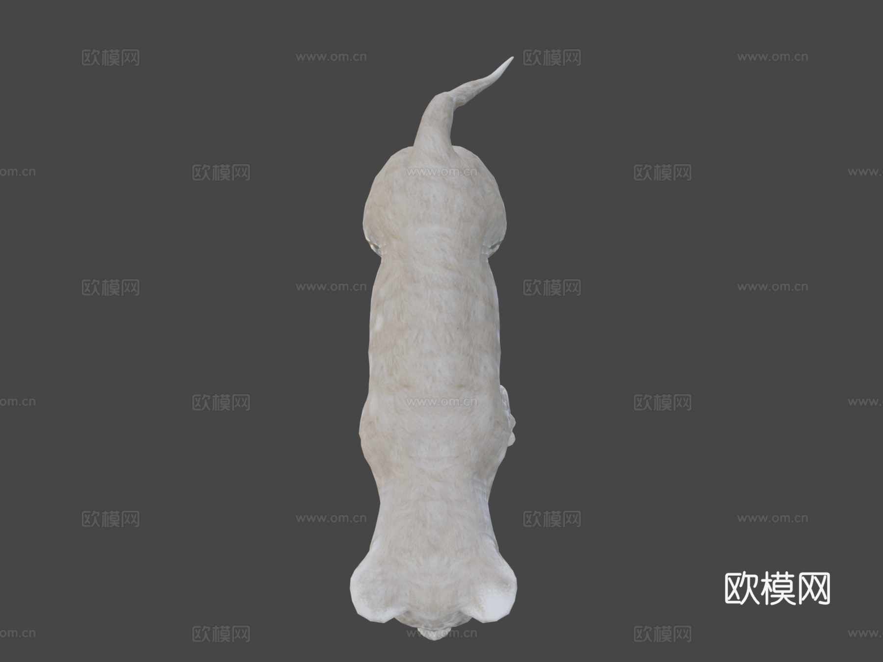 狮子动画低多边形3d模型