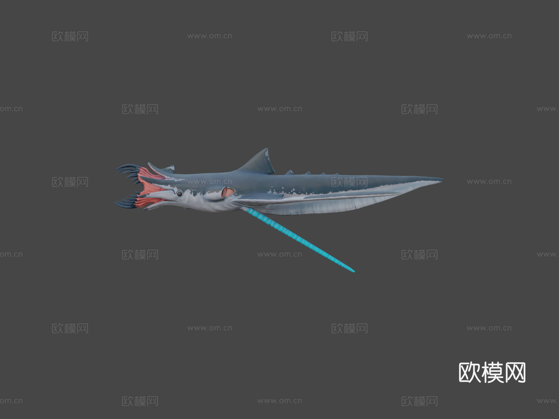 鱿鱼鲨3d模型