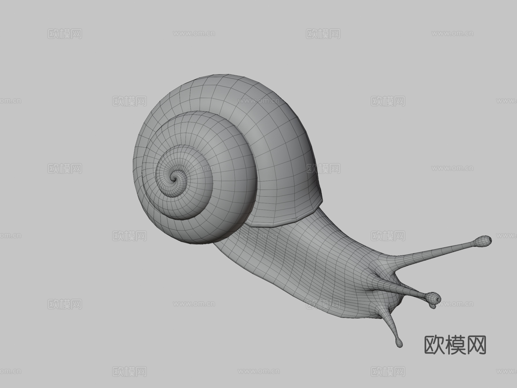 蜗牛3d模型