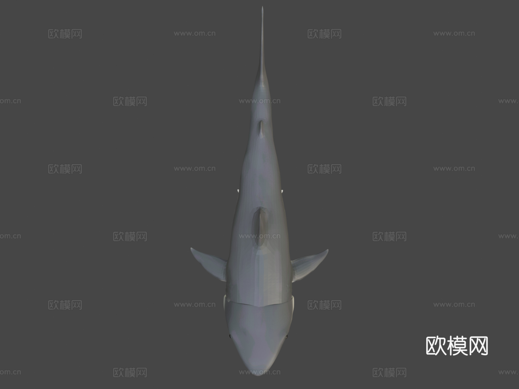 大白鲨3D模型3d模型