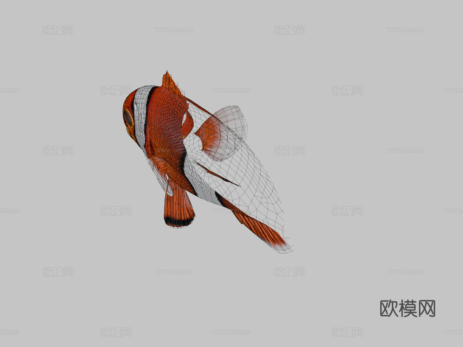 橙色小丑鱼3d模型
