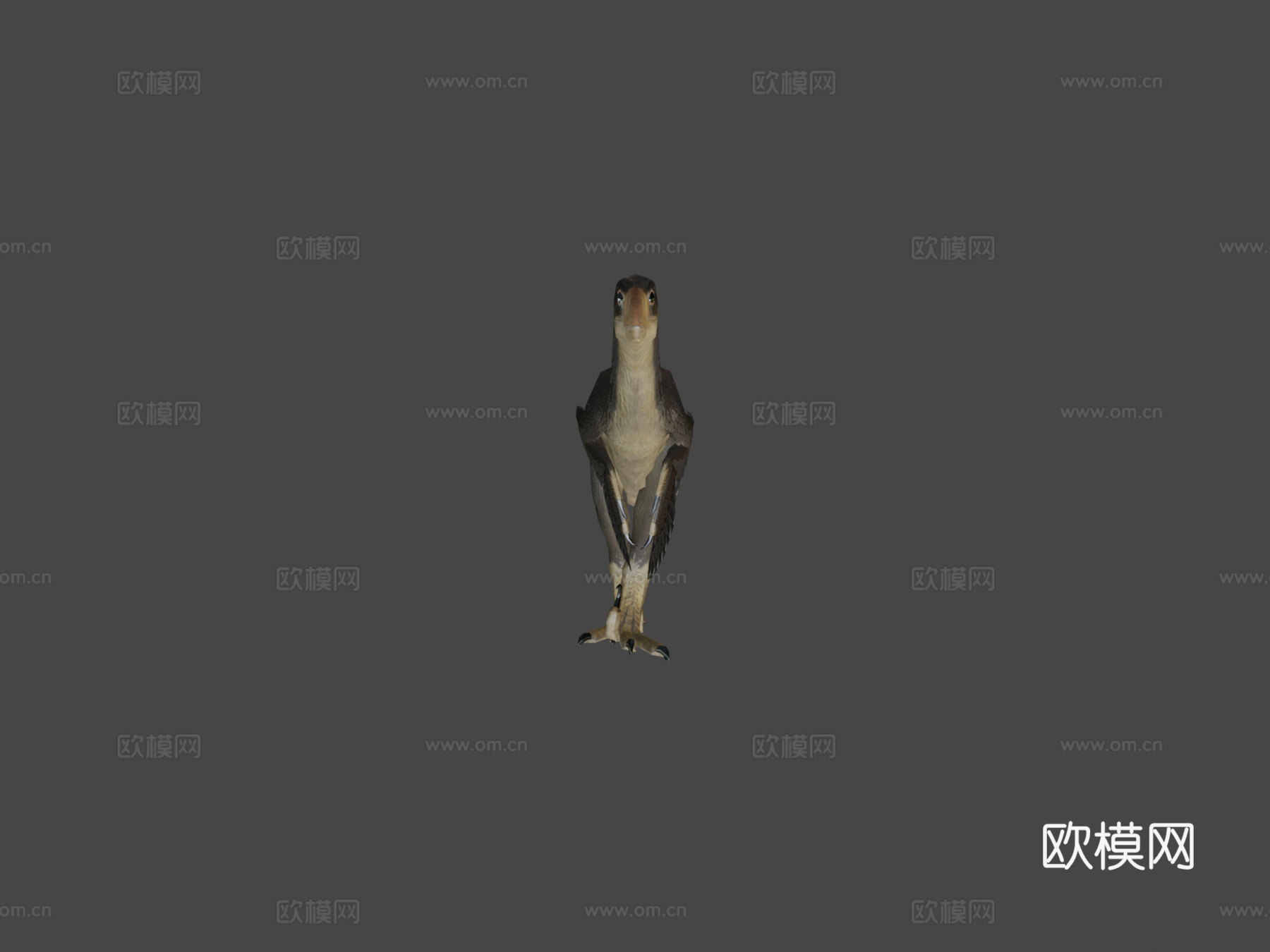 低多边形迅猛龙-动画版3d模型