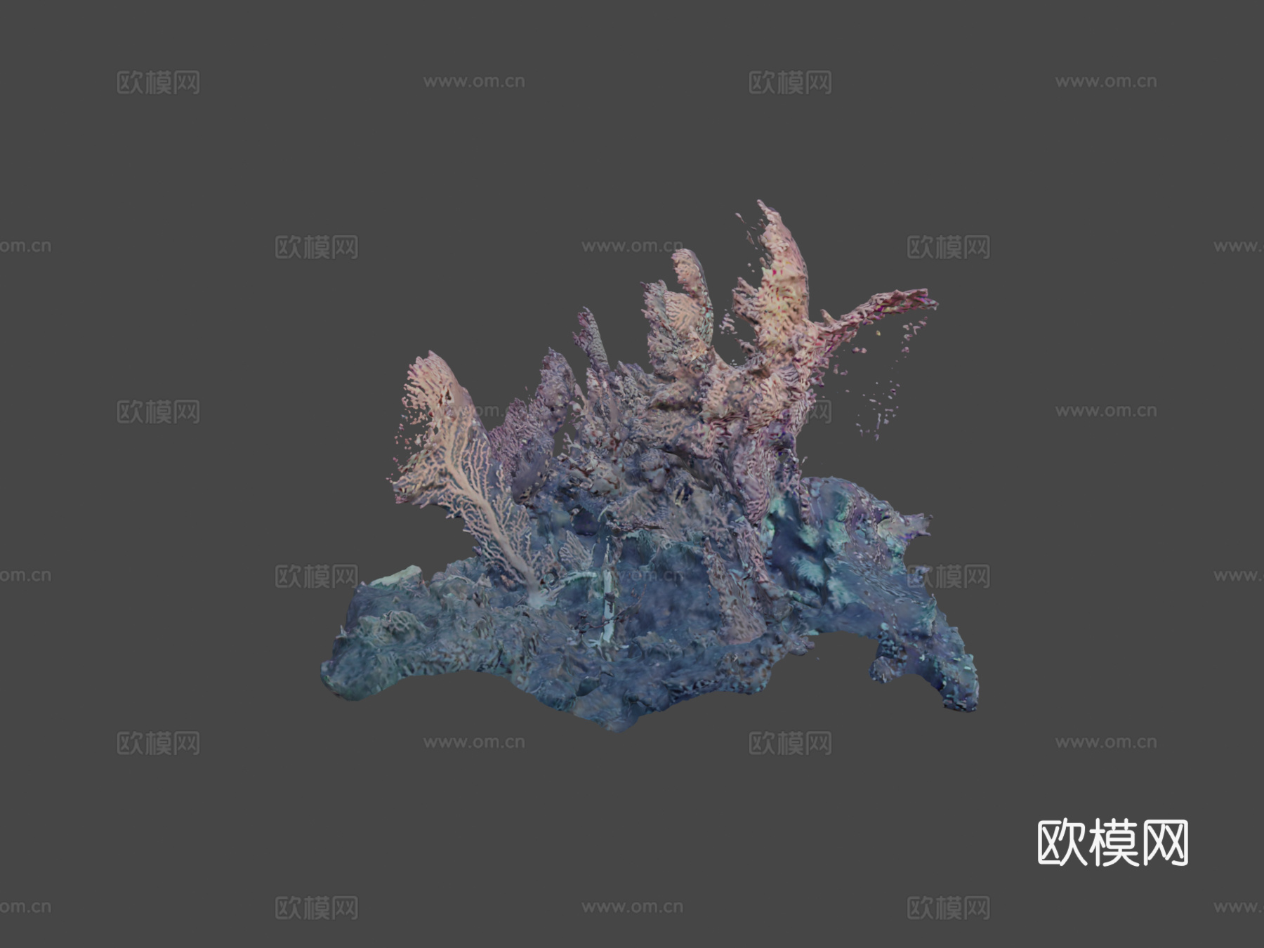 深海珊瑚3d模型