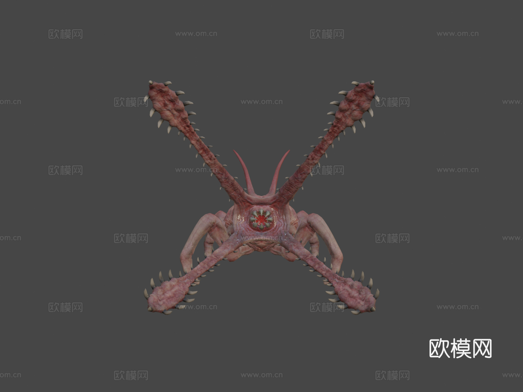 变形动画3d模型