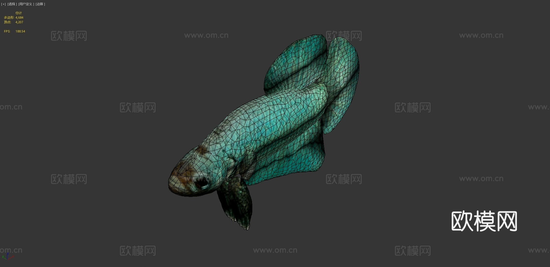 蓝色斗鱼3d模型