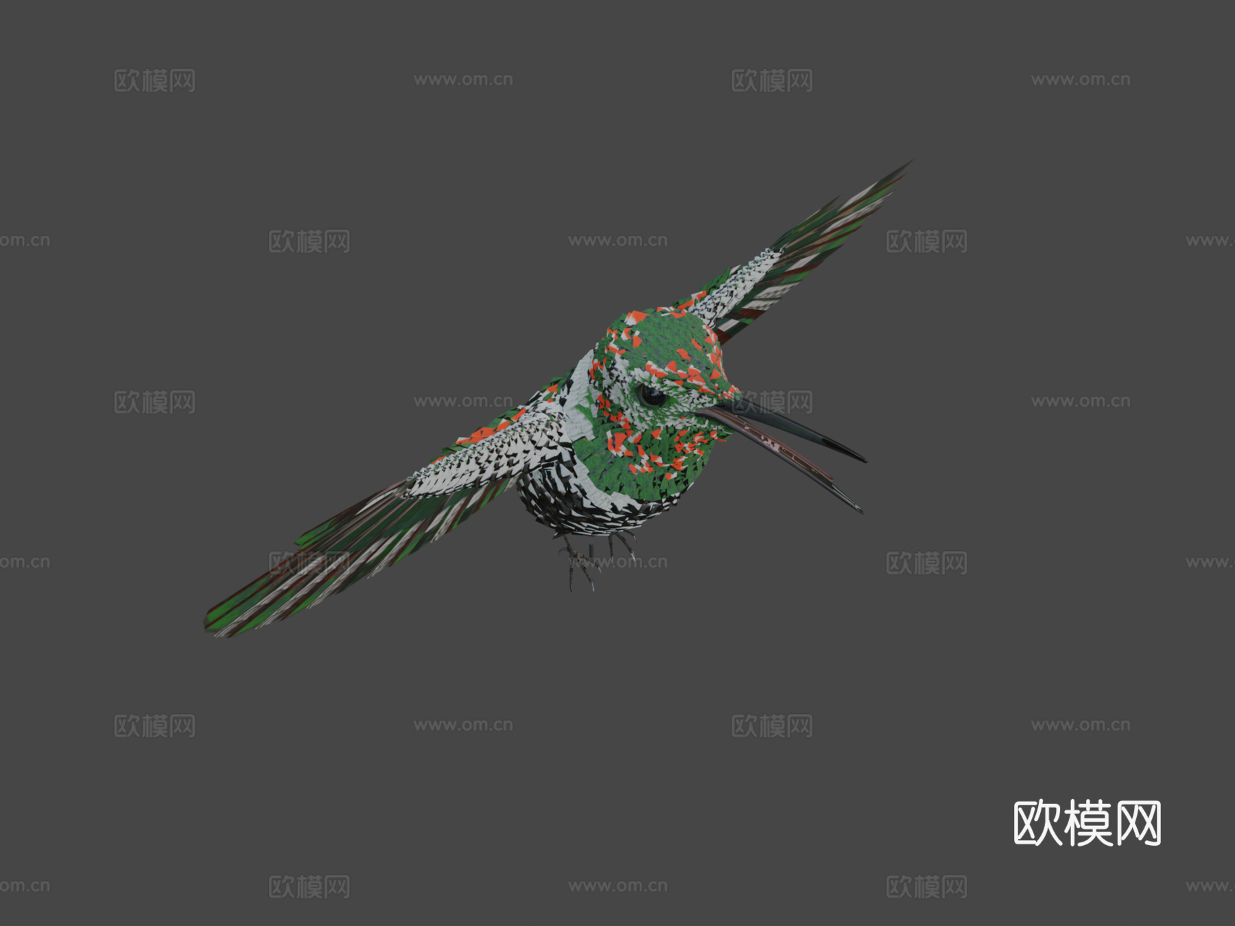 红喉蜂鸟♂3d模型