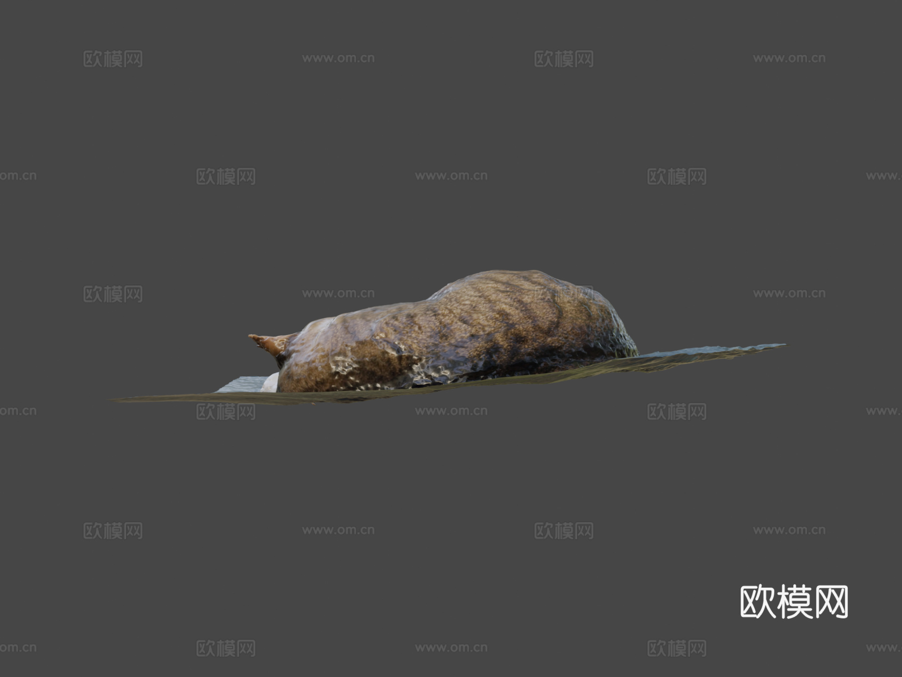 我的另一只猫3d模型