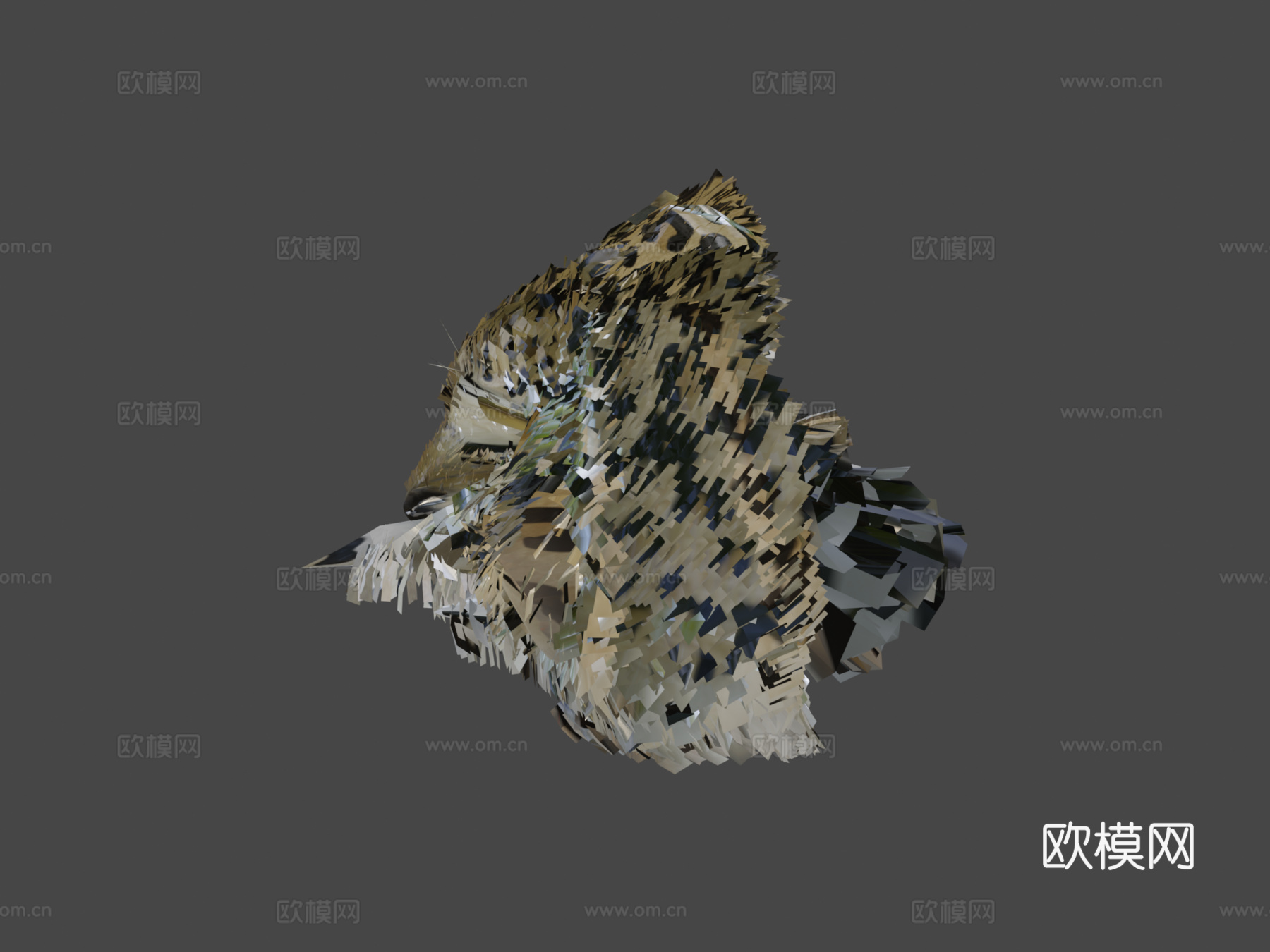 阿拉伯豹3d模型