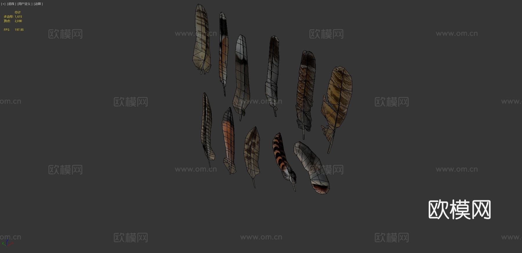鸟类羽毛图集3d模型