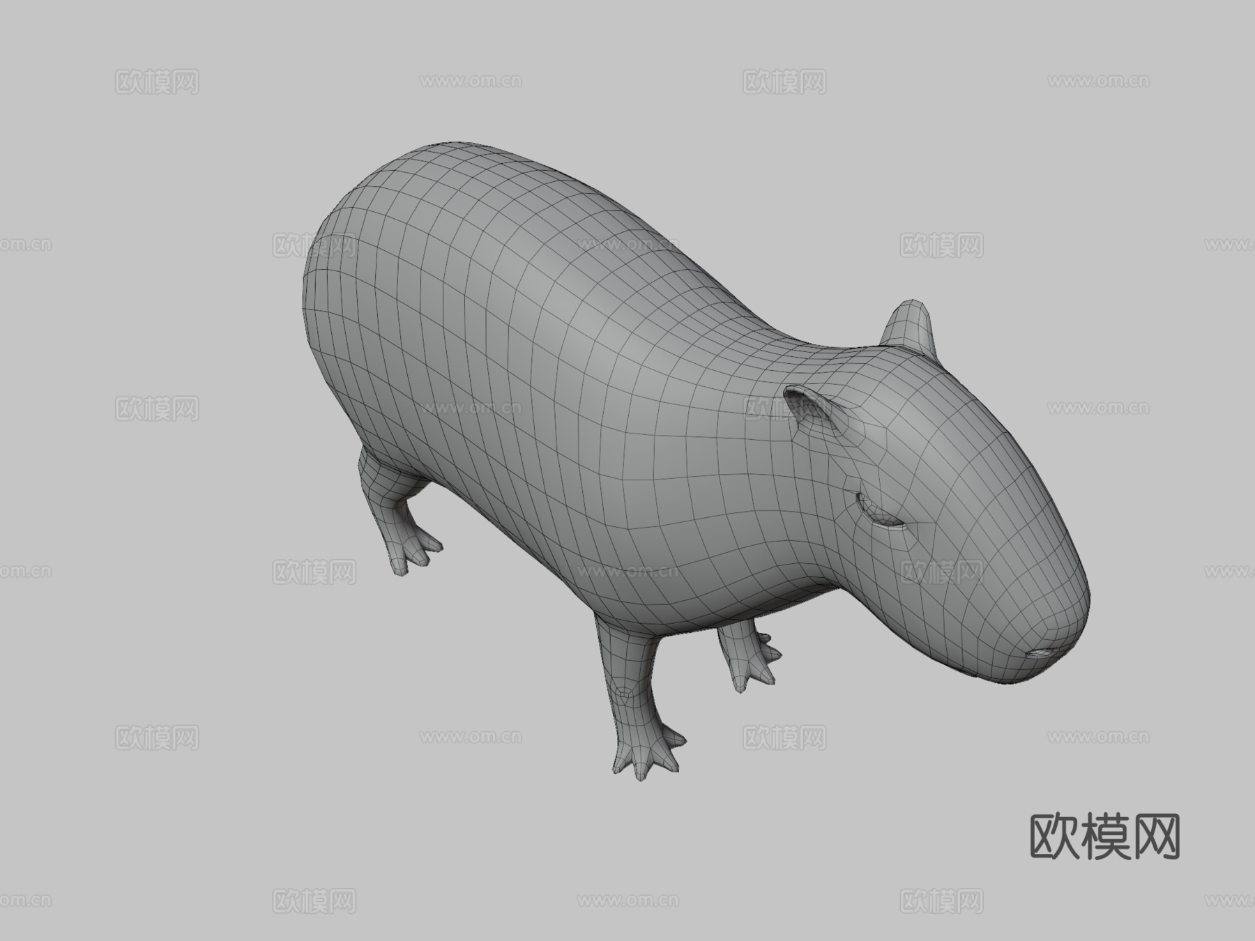 水豚3d模型