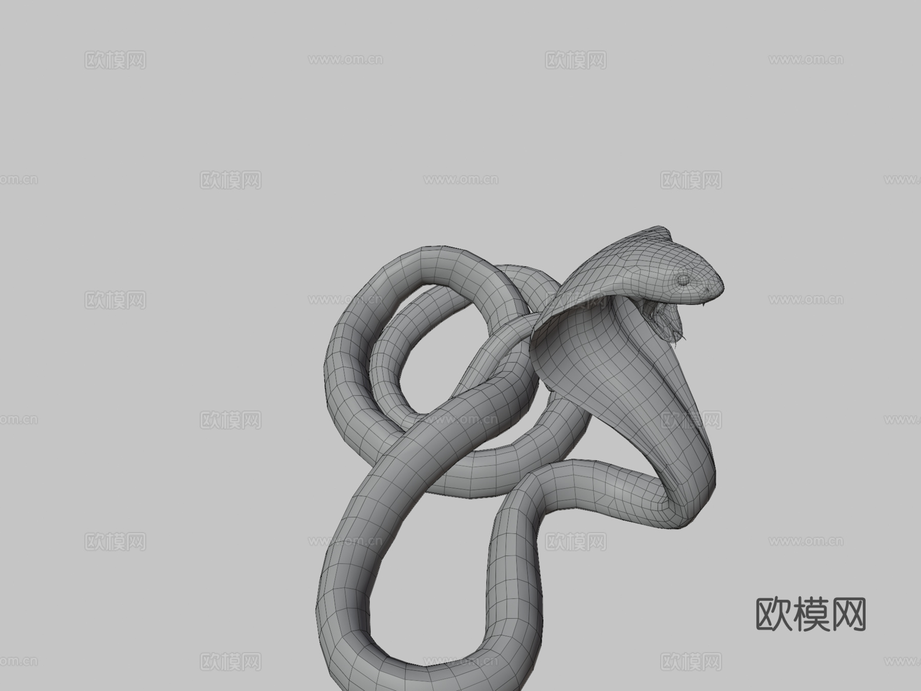 攻击眼镜蛇3d模型