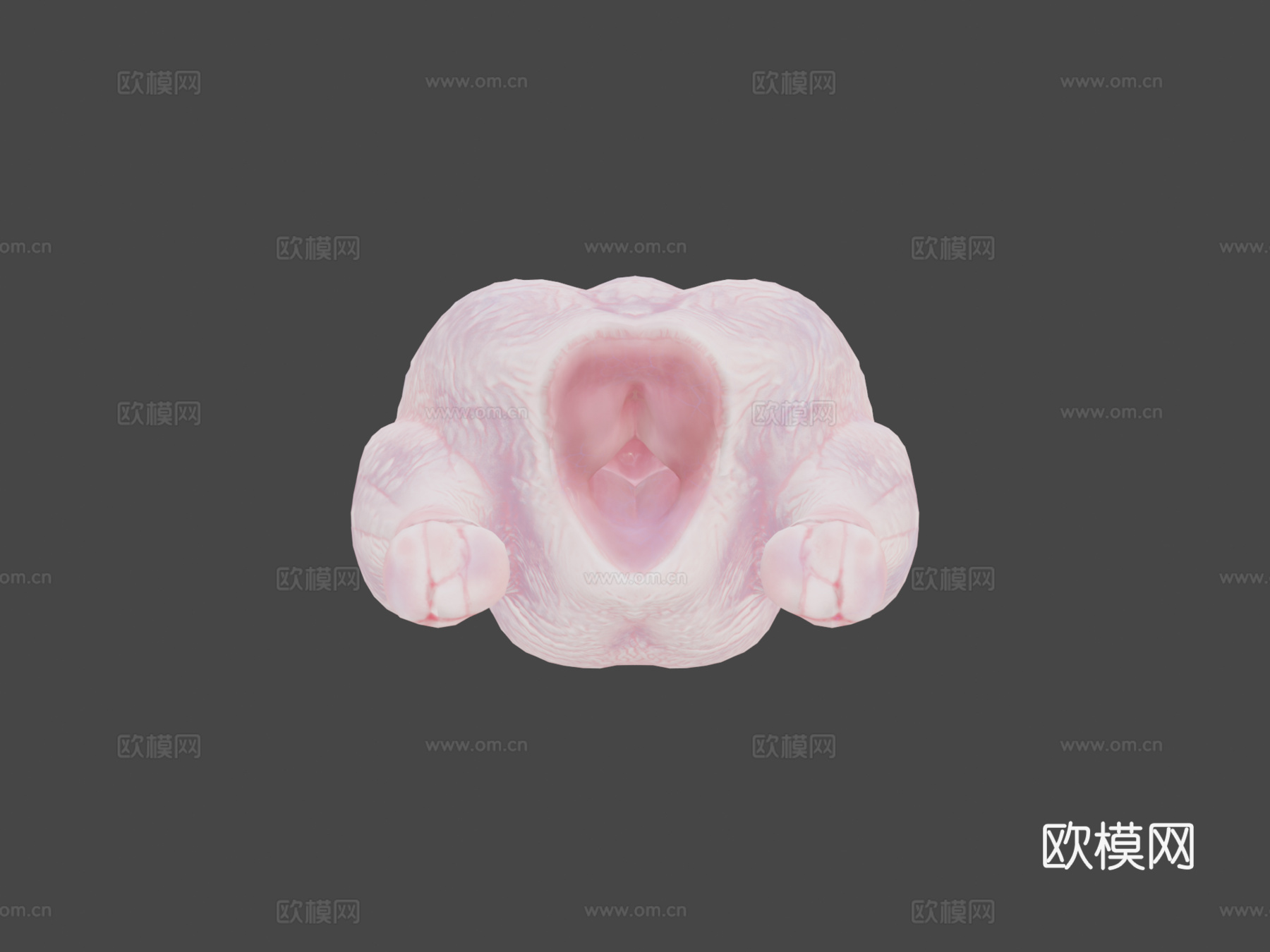 生鸡肉3d模型