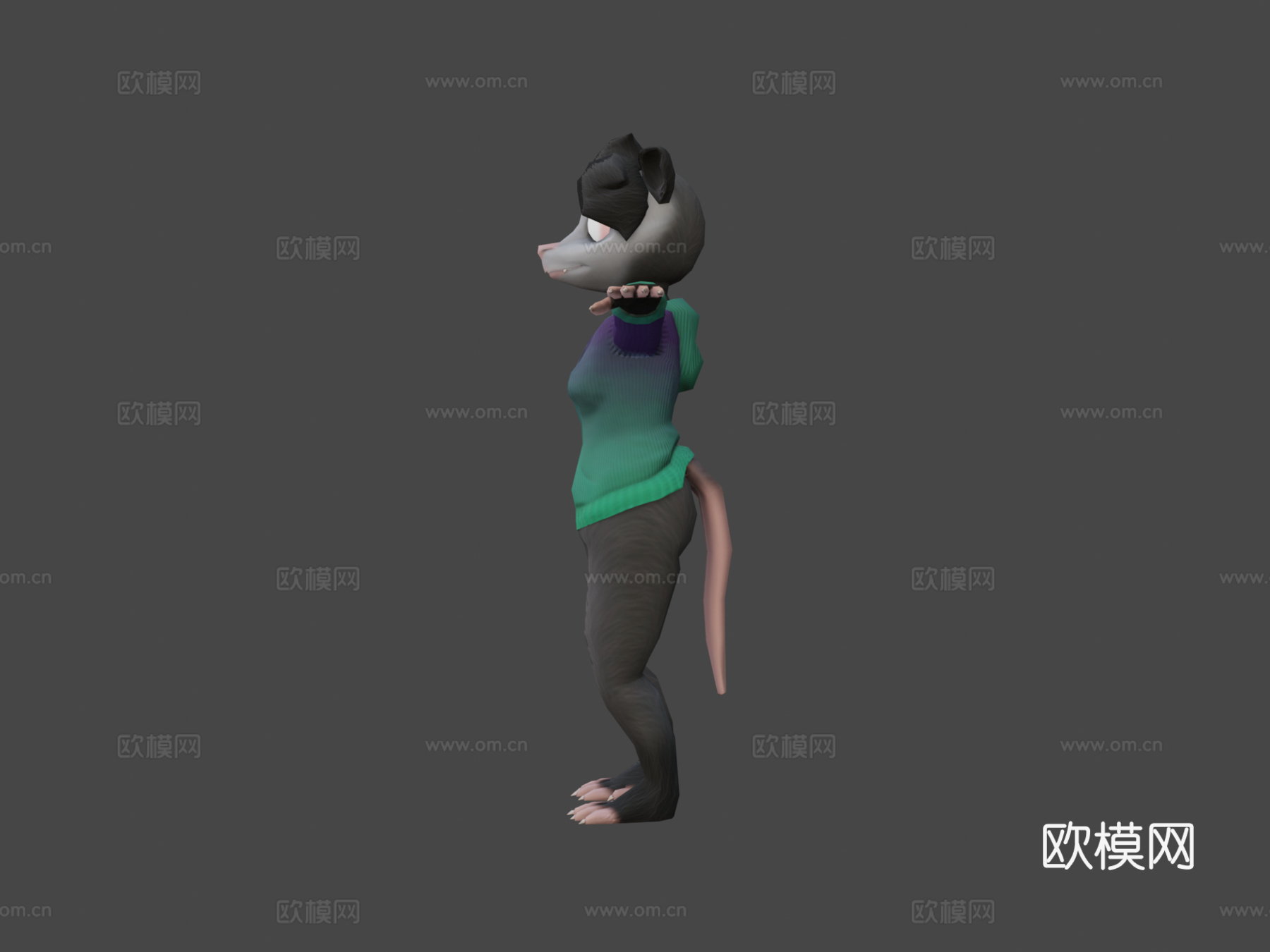 负鼠3d模型
