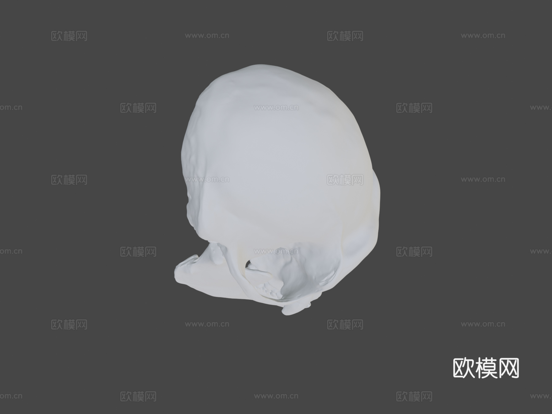 黑猩猩头骨3d模型