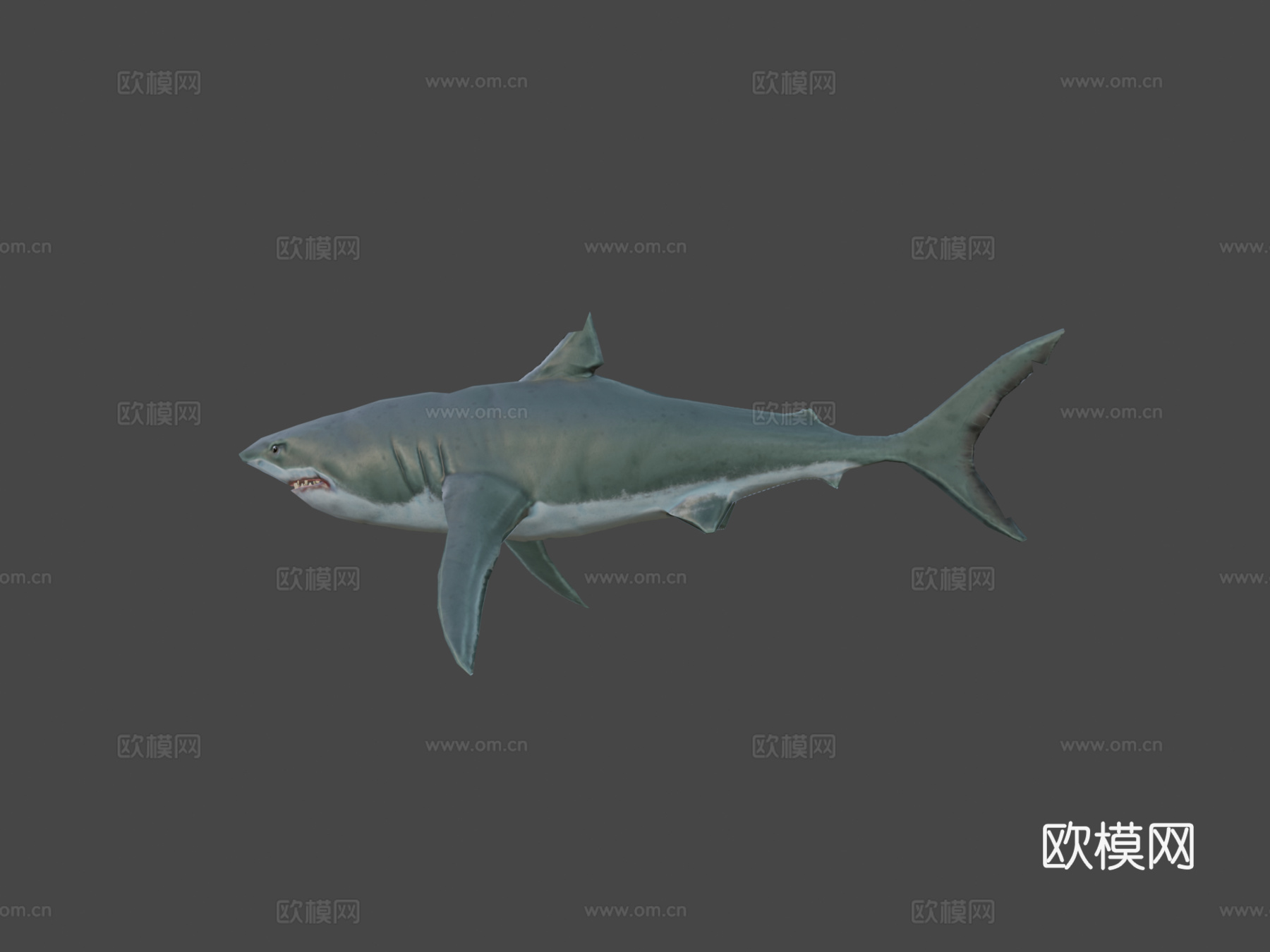 大白鲨(马特乌斯·施瓦布)_23d模型