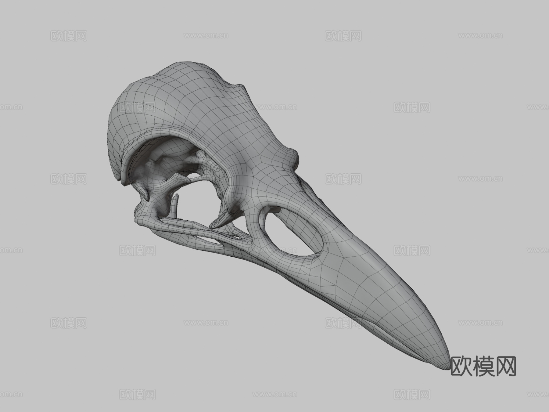乌鸦头骨3d模型