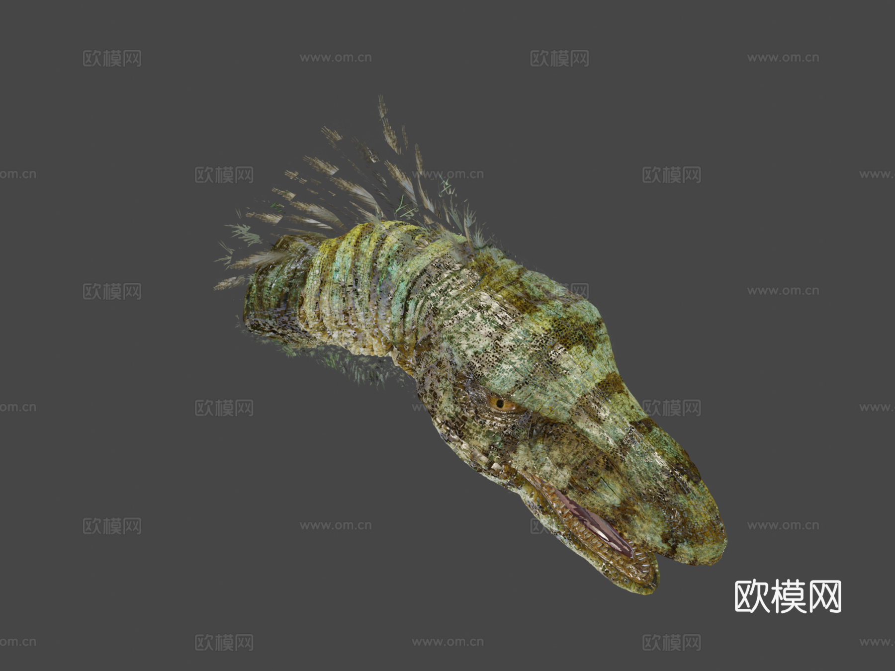 迅猛龙头部测试3d模型