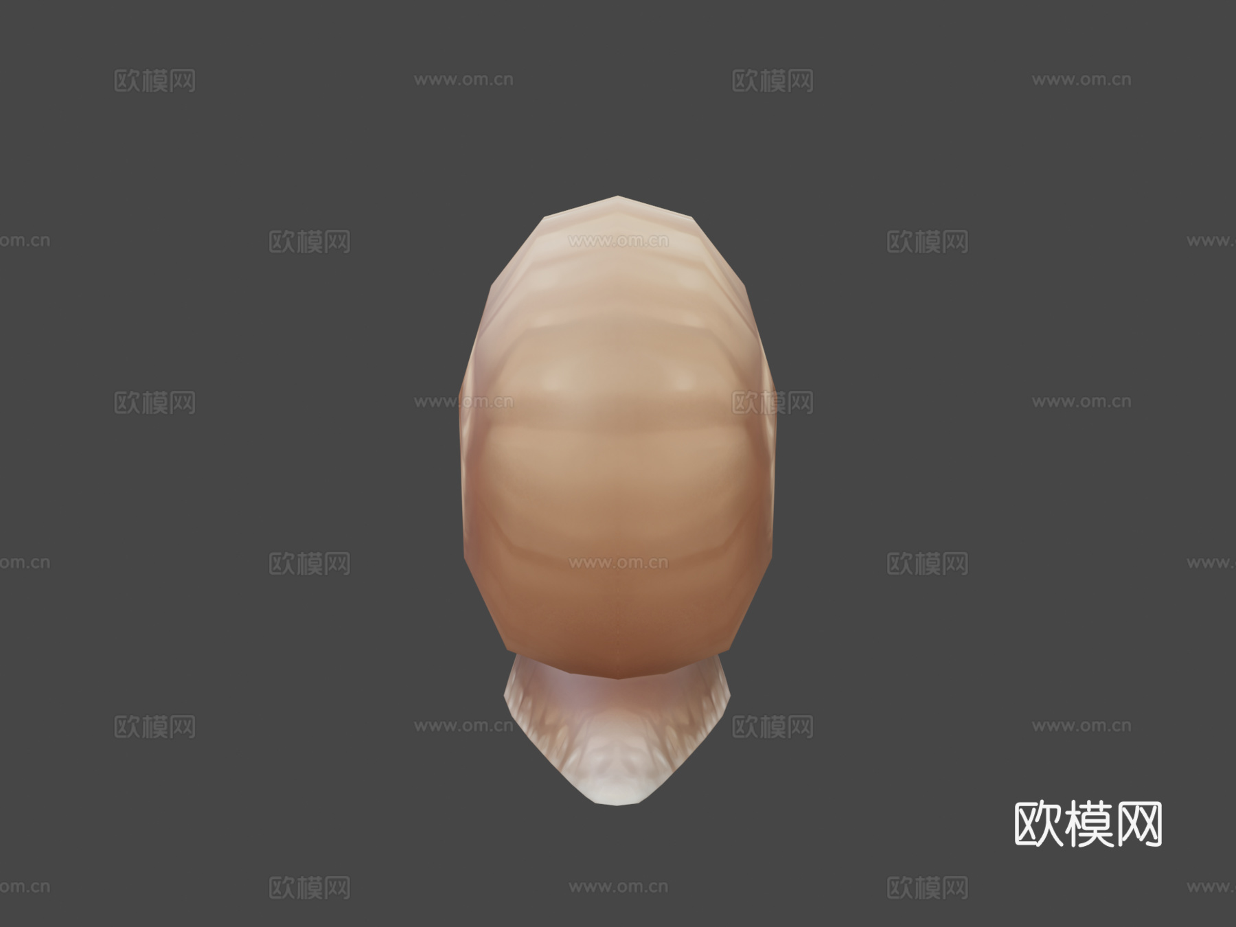 蜗牛3d模型