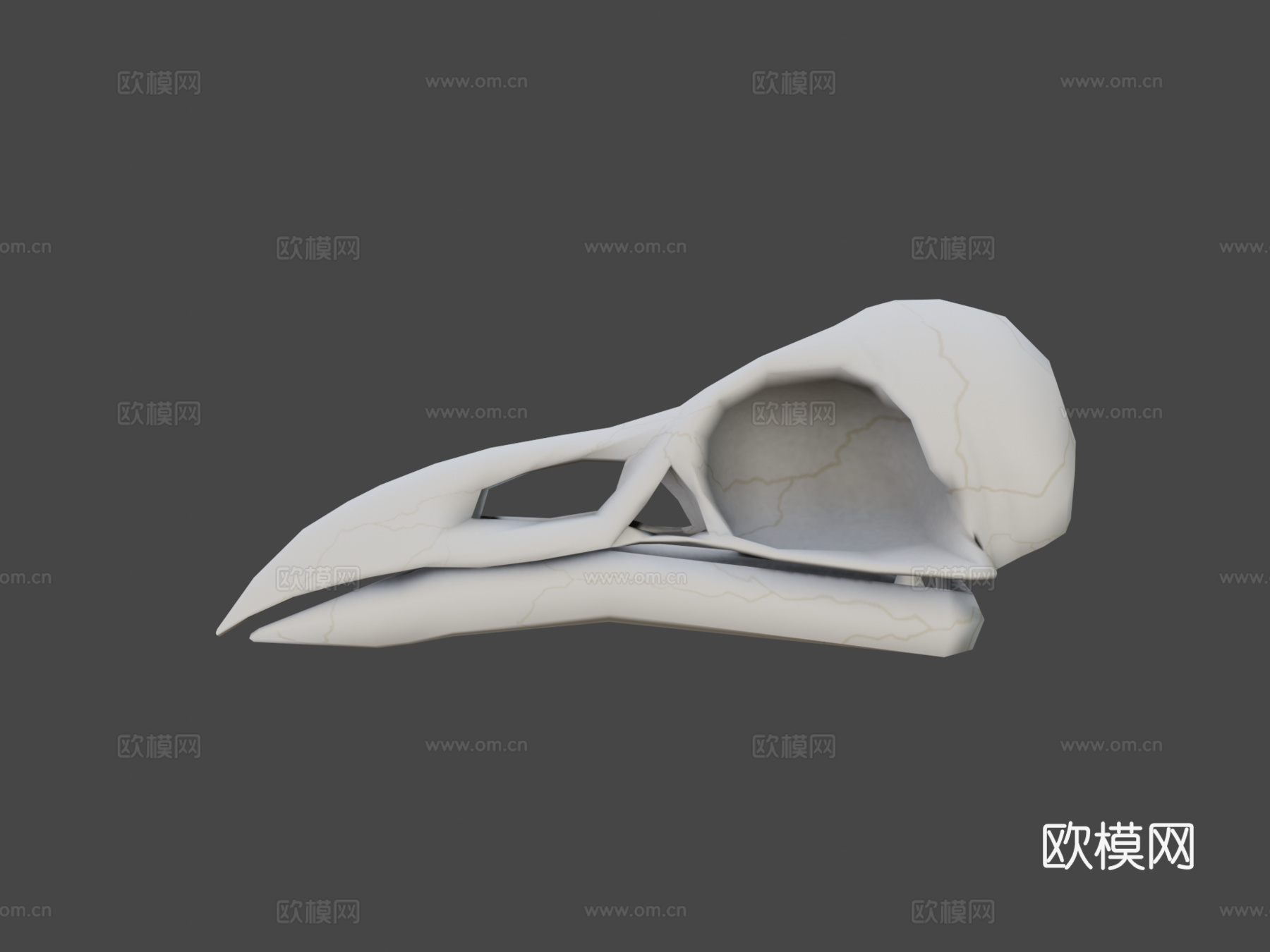 渡鸦头骨3d模型