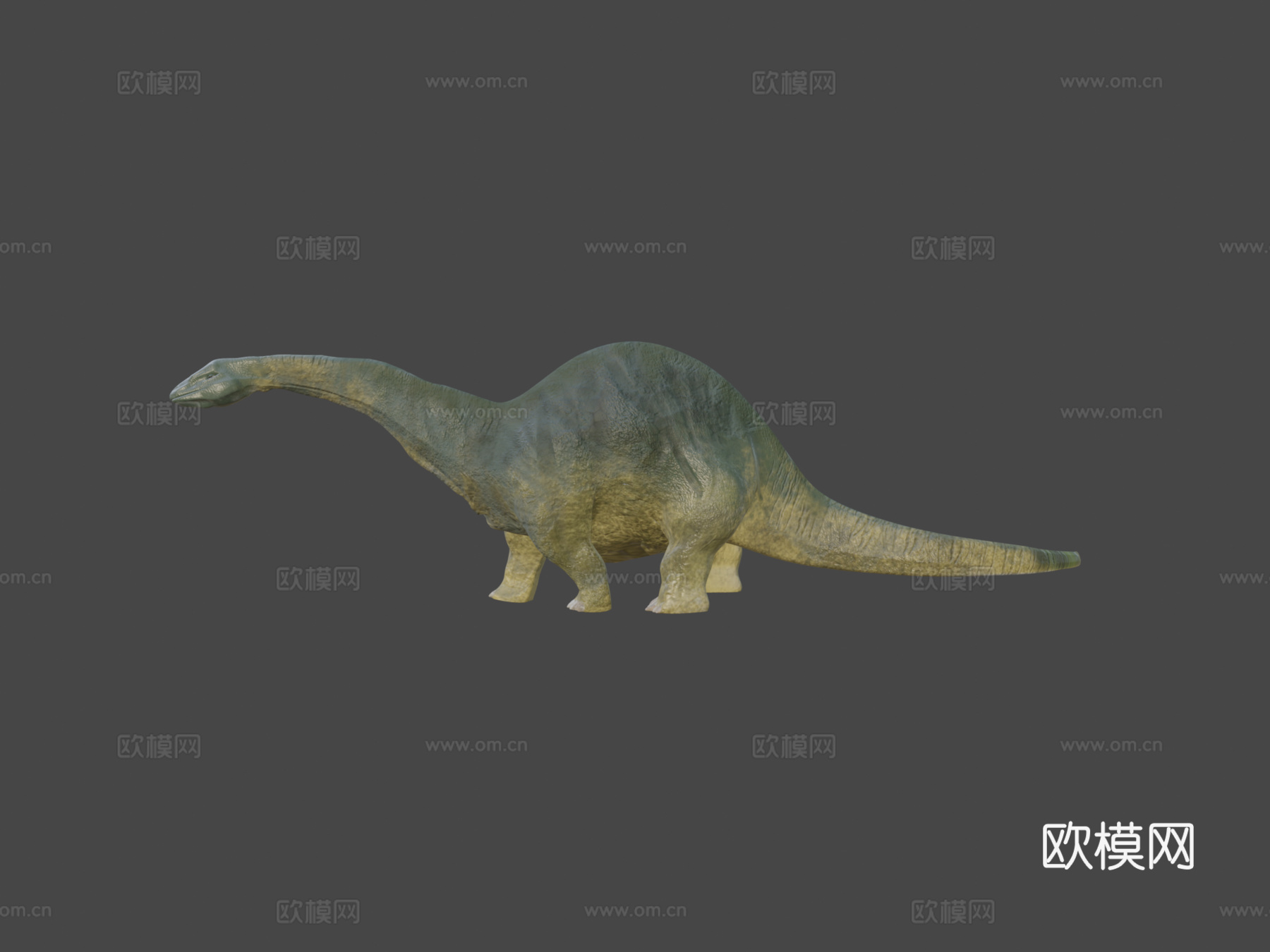 恐龙3d模型