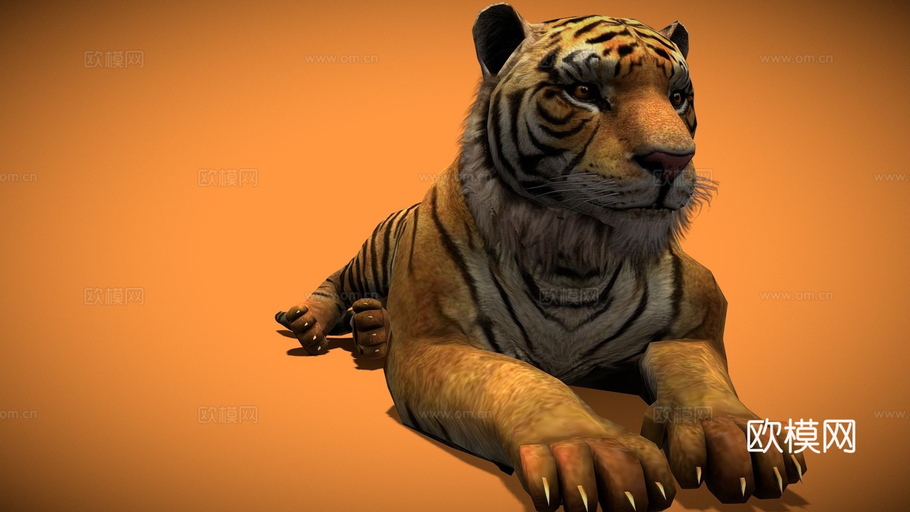 老虎3d模型