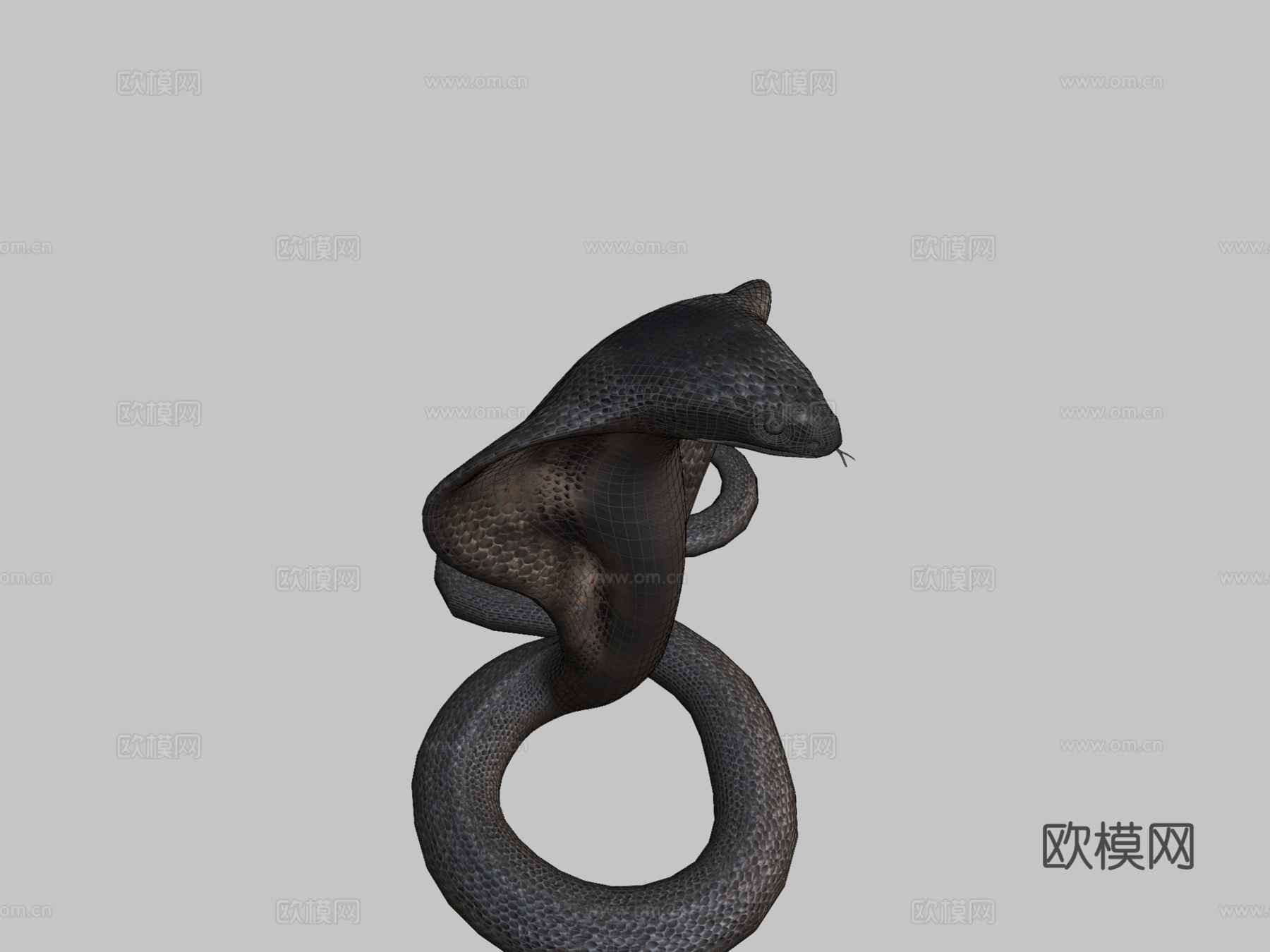 眼镜王蛇绑定低多边形3d模型