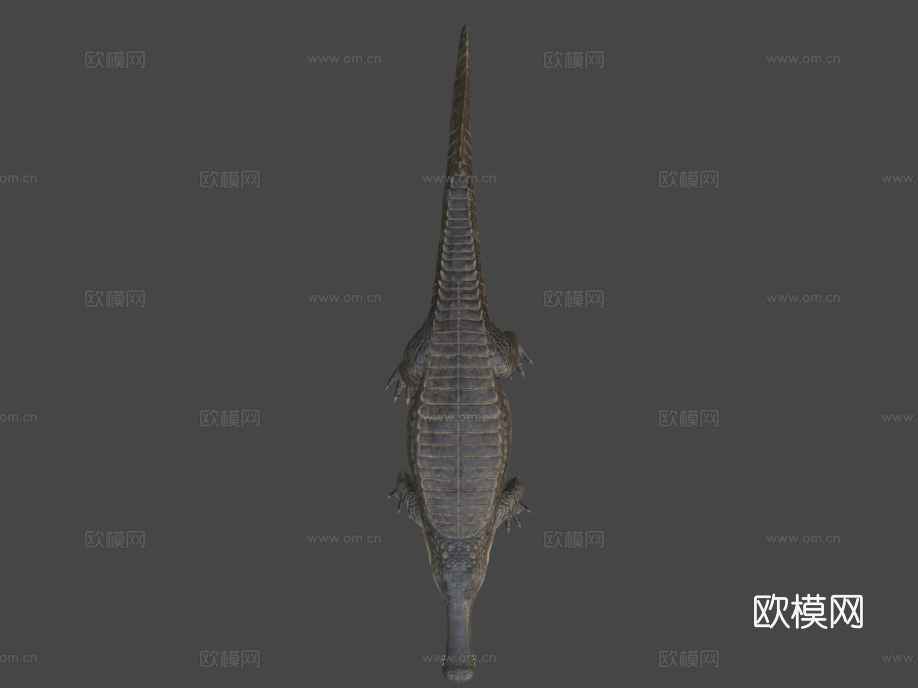 帝鳄3d模型