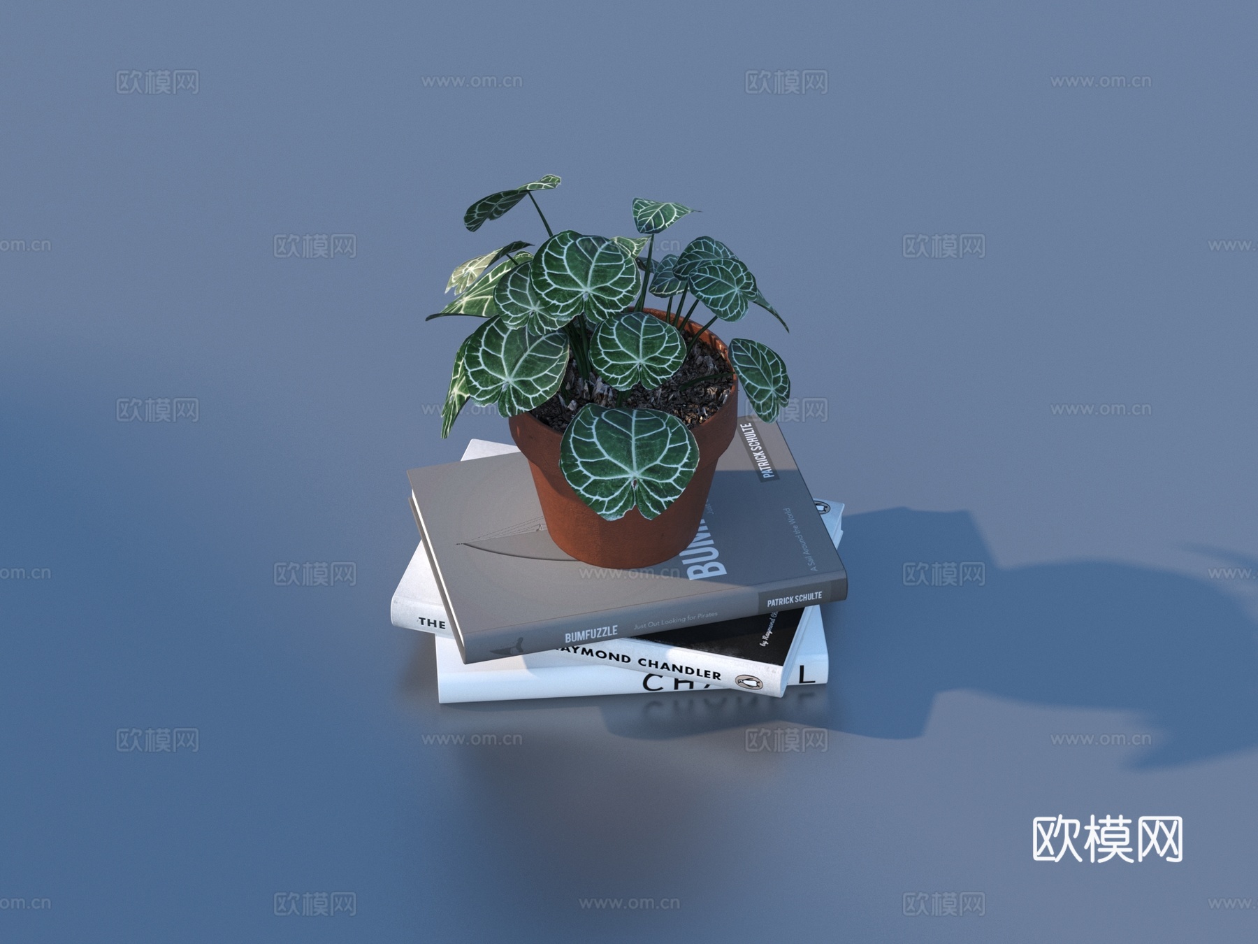 花盆 盆栽 绿植 植物3d模型
