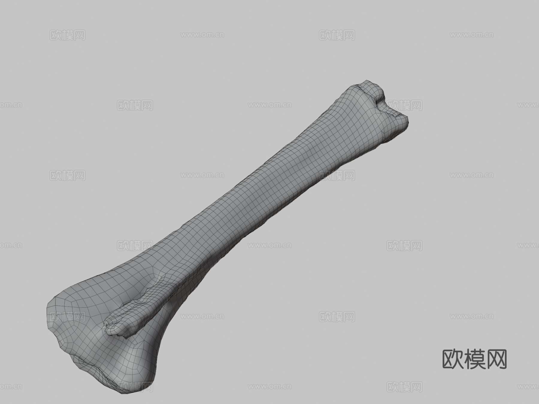 马骨3d模型
