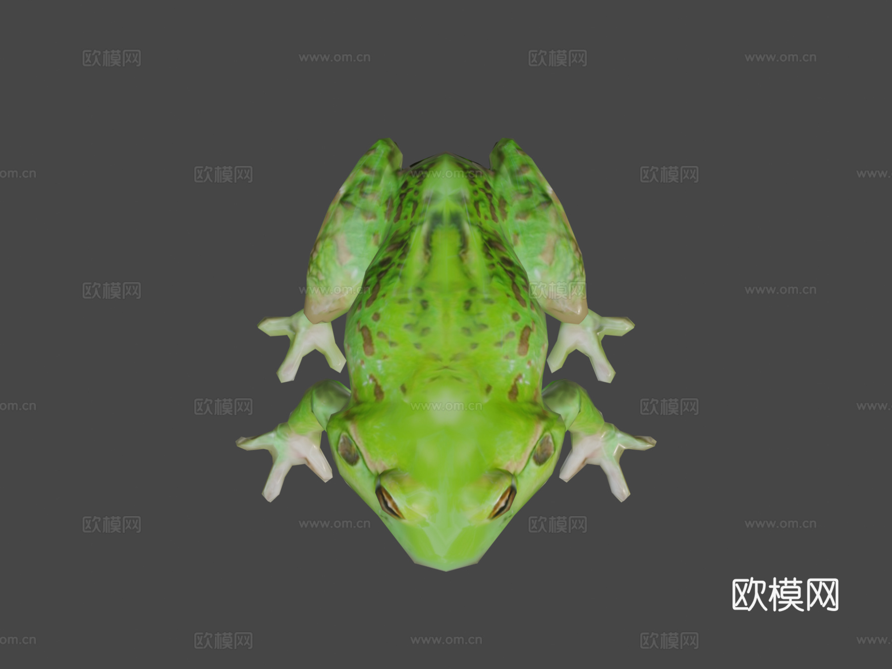 青蛙3d模型