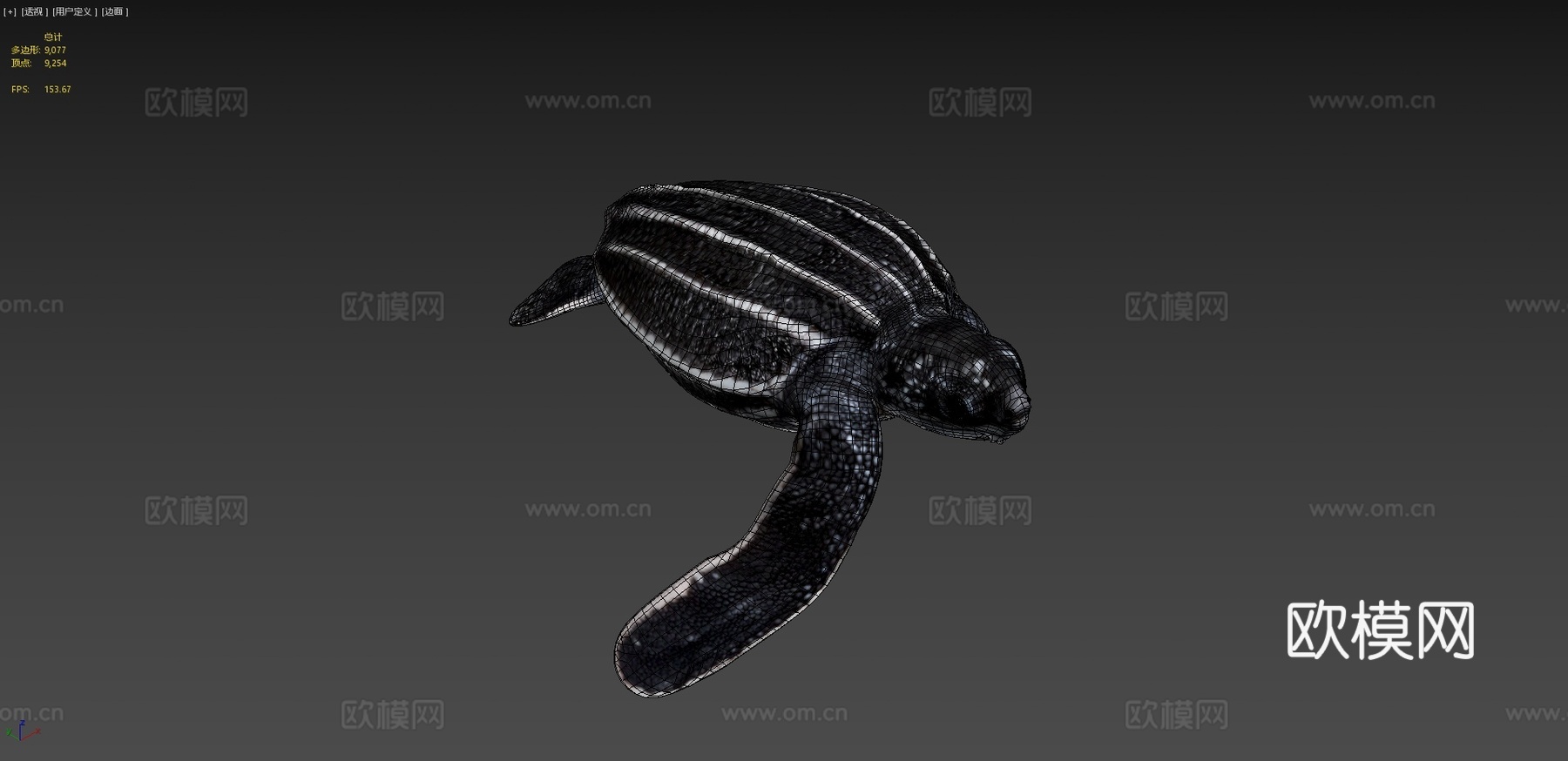 A模型幼年棱皮龟3d模型
