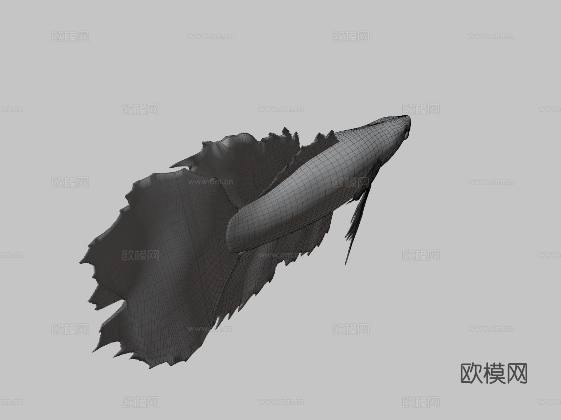 热带=河流=鱼33d模型