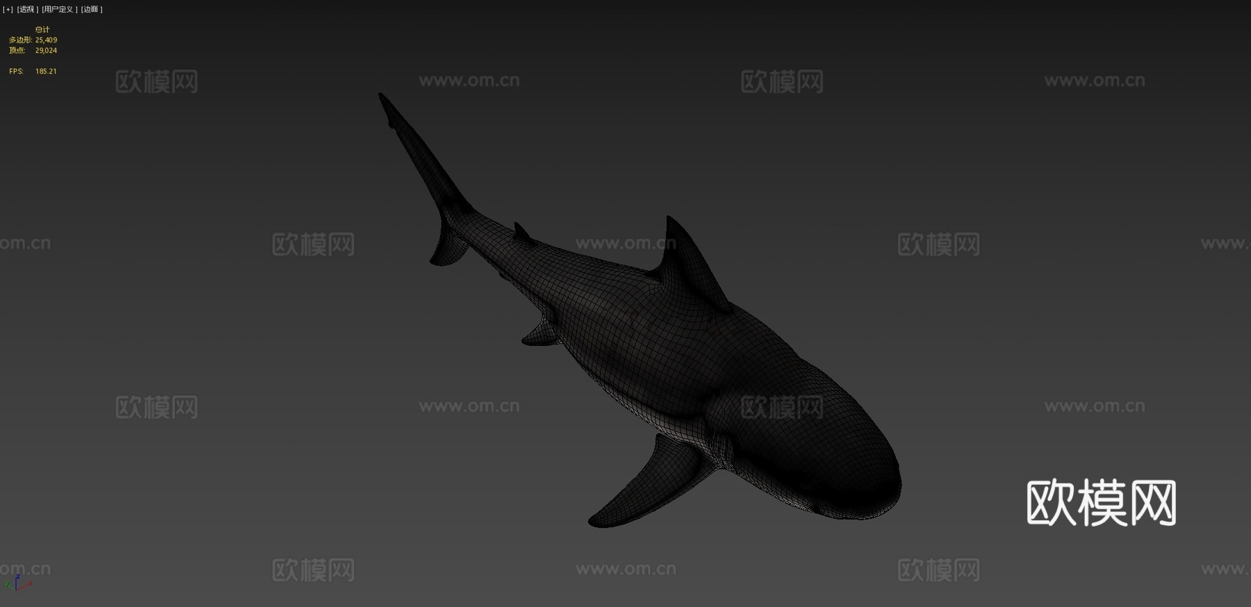 公牛鲨3d模型