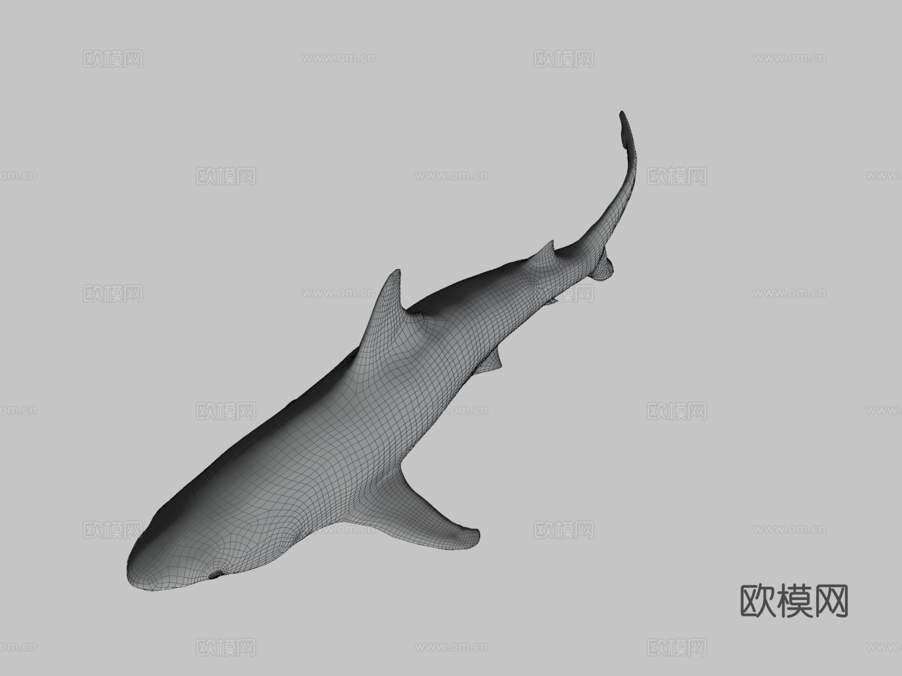 鲨鱼3d模型