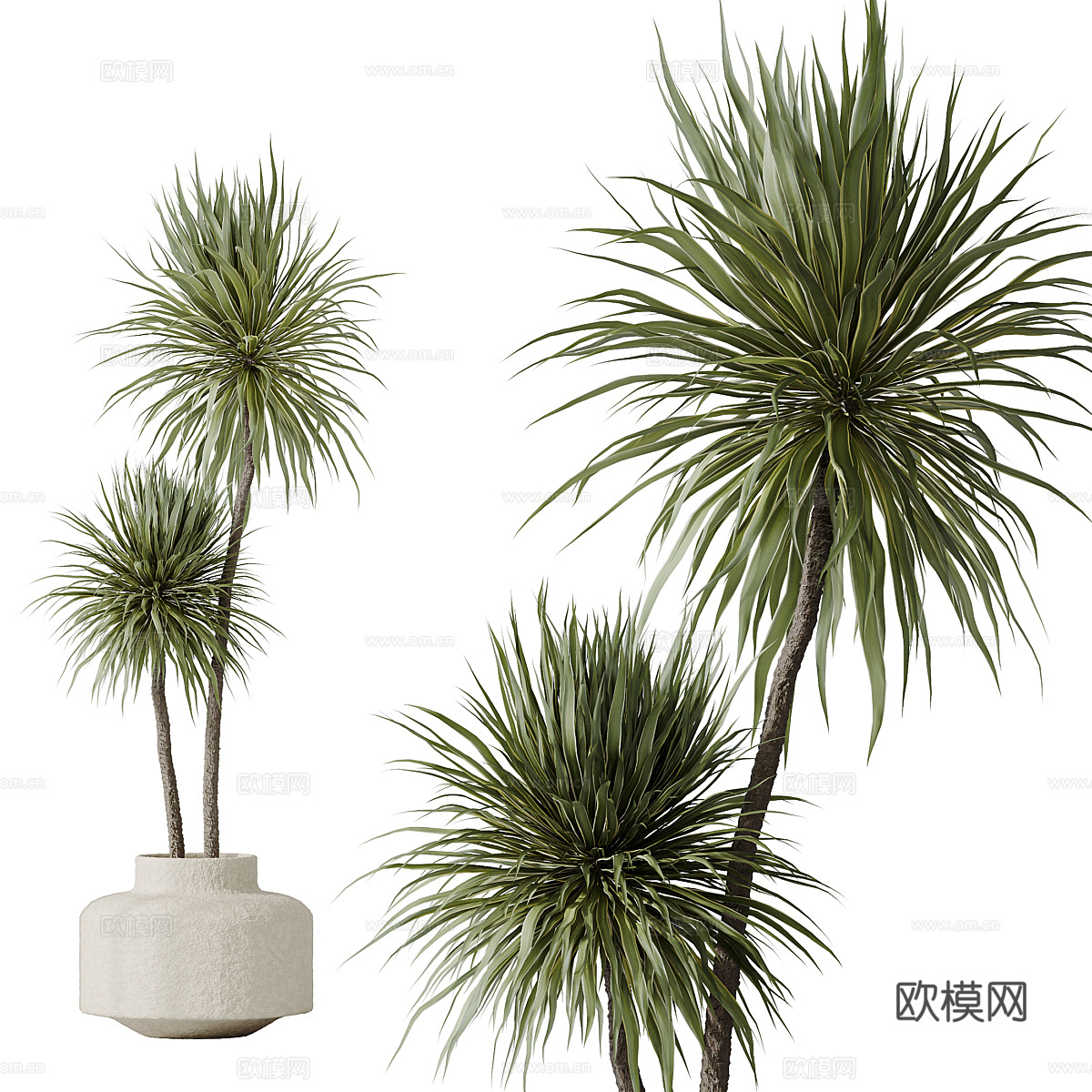 新中式侘寂绿植盆栽3d模型