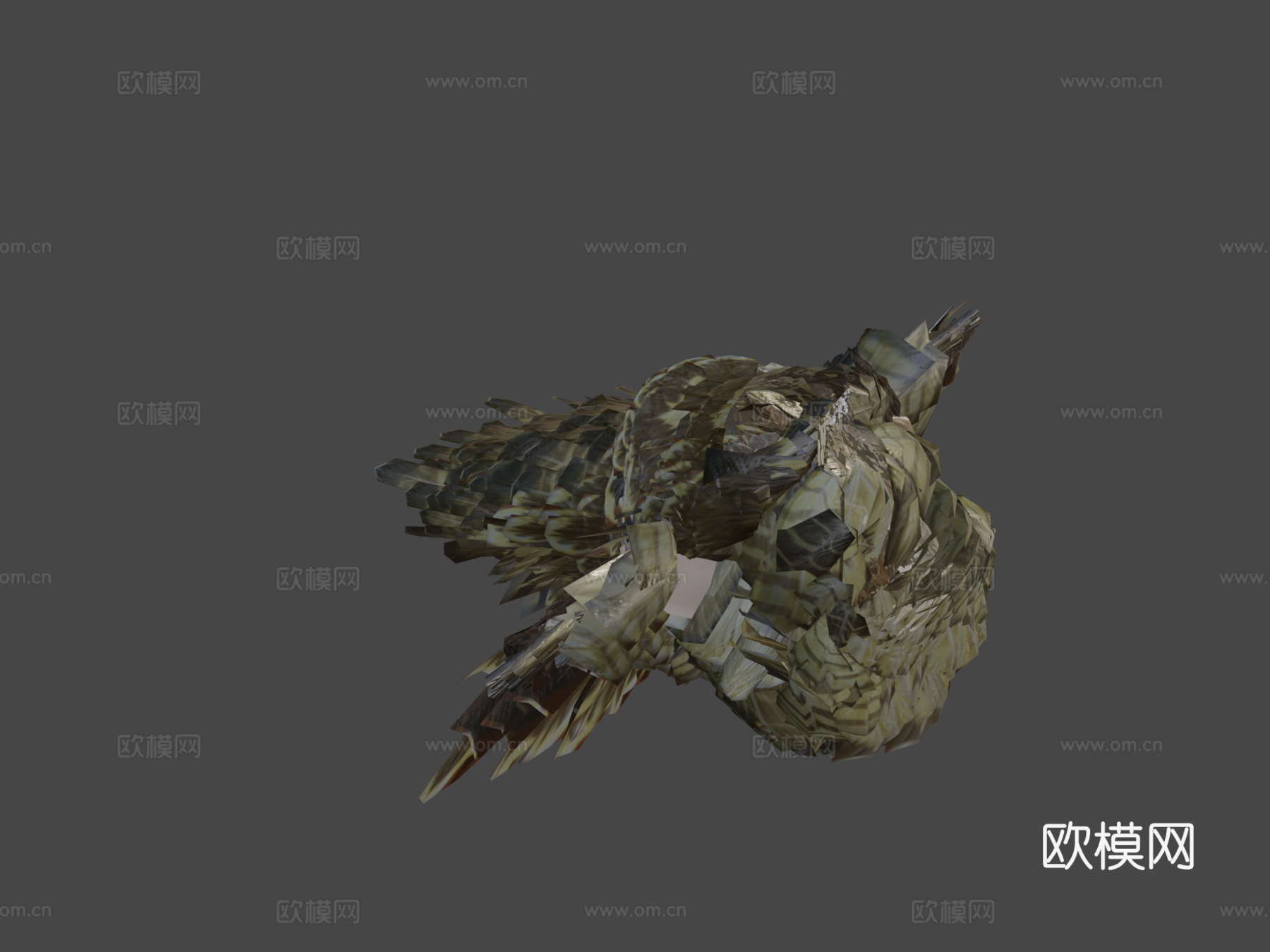 褐隼3d模型