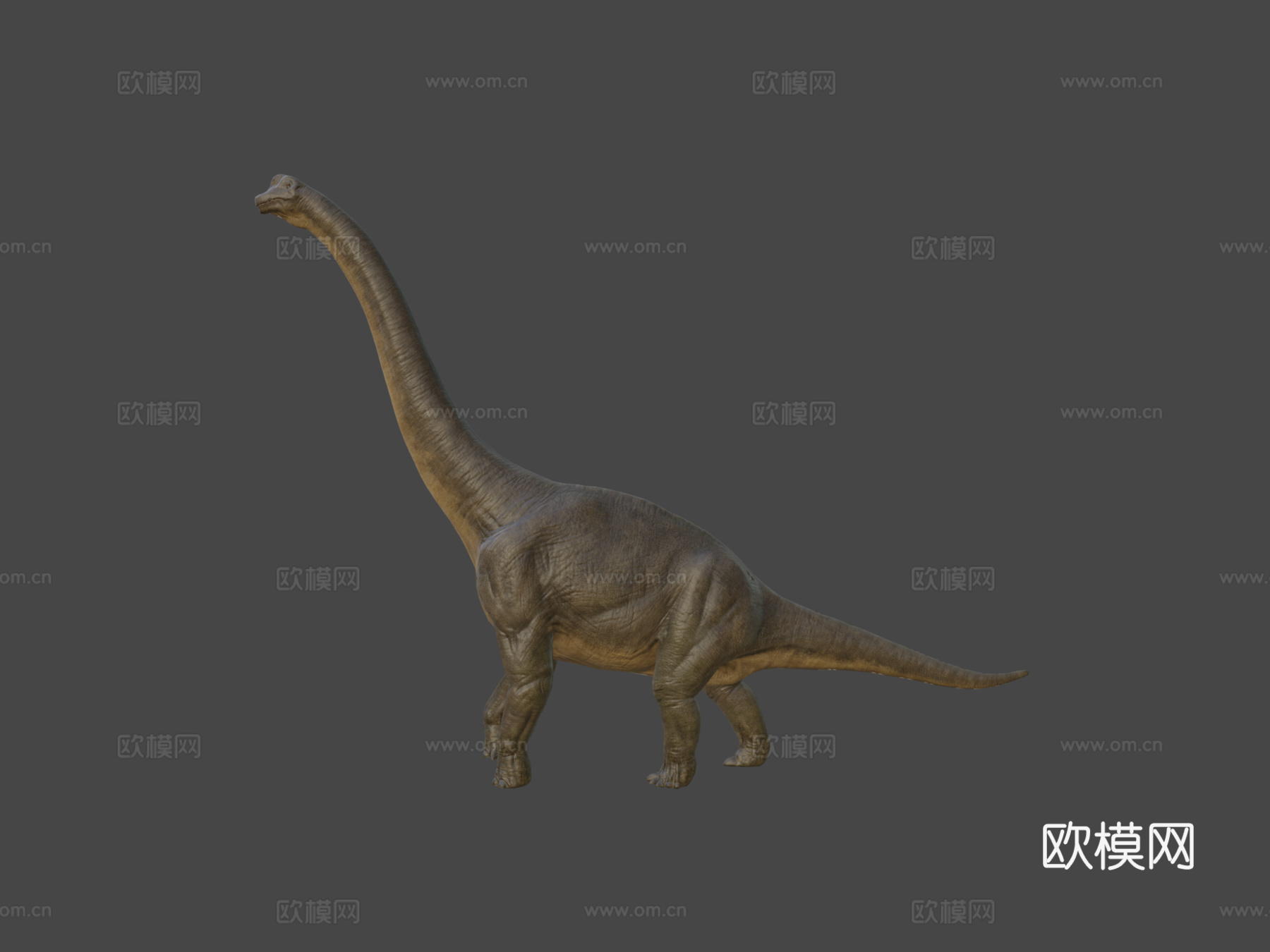腕龙3d模型