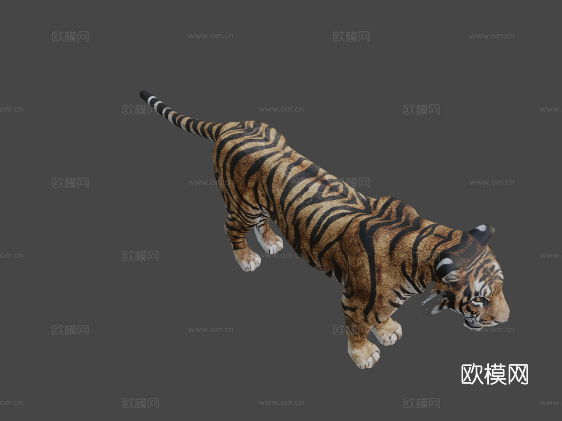 孟加拉虎3d模型